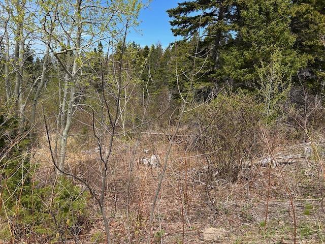 $79,000.00: White Point Road, Smelt Brook