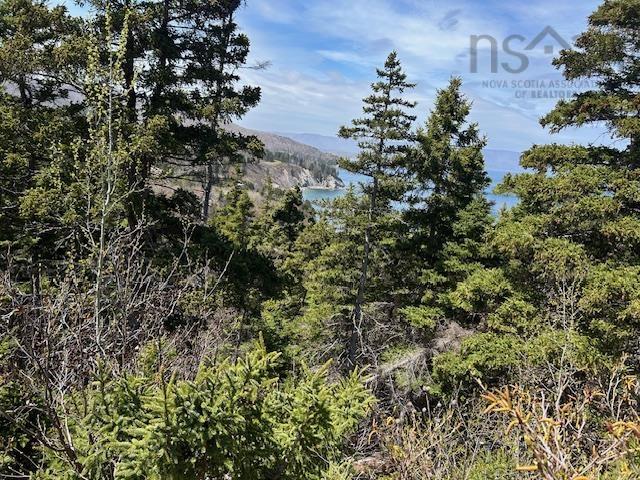 $79,000.00: White Point Road, Smelt Brook