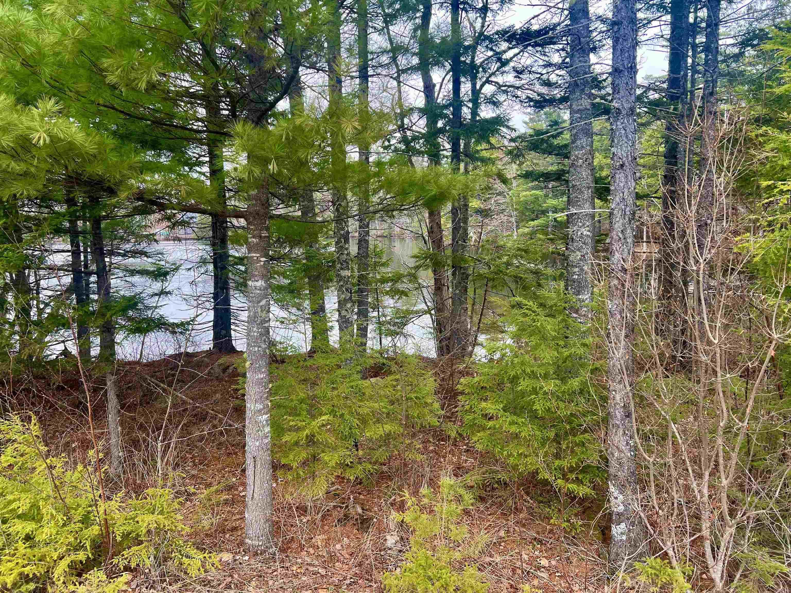 $99,000.00: Lot 61 & 62 Homestead Estates Drive, Italy Cross