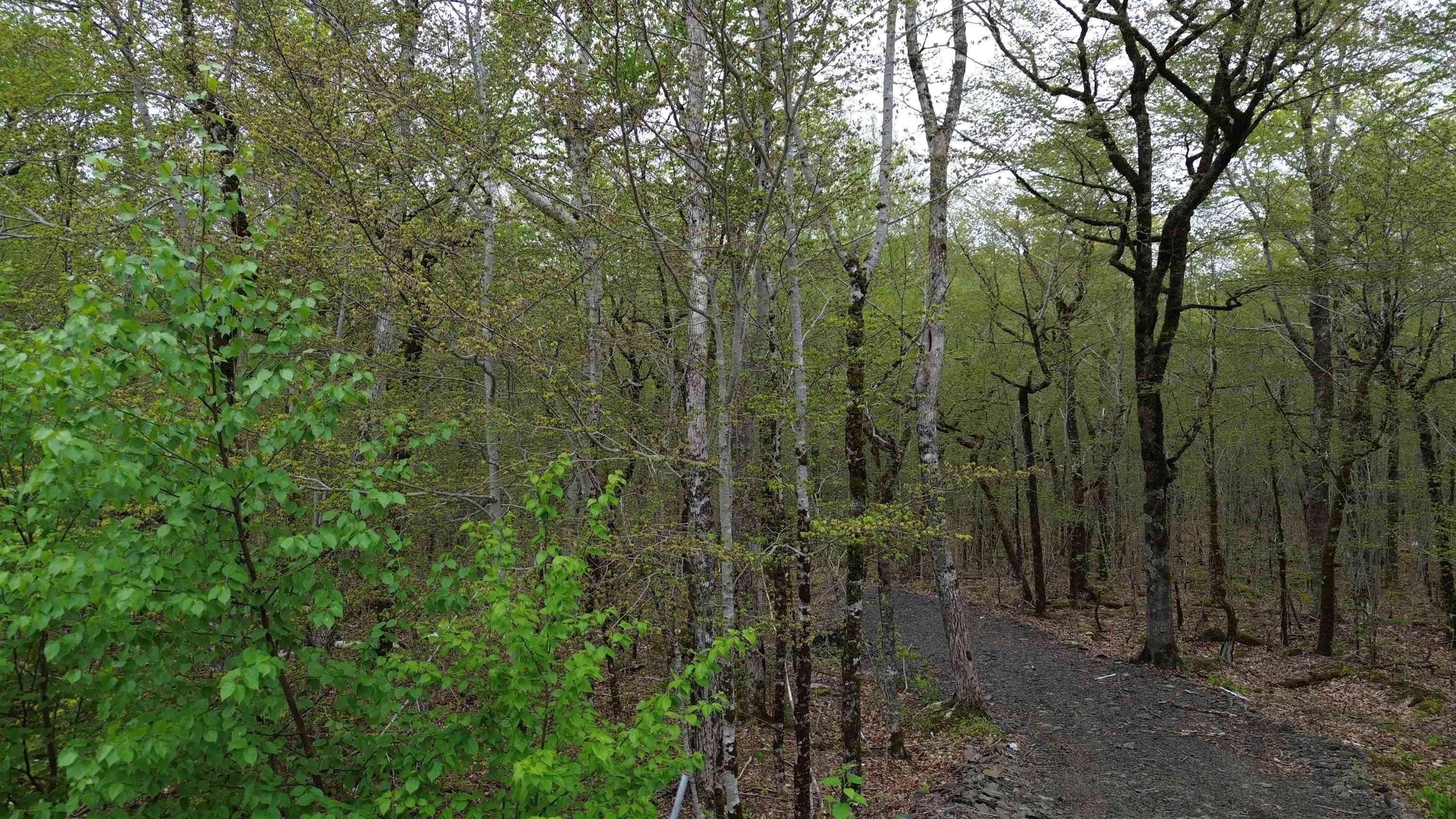 $34,900.00: Lot 46 Turner Point Road, Walden