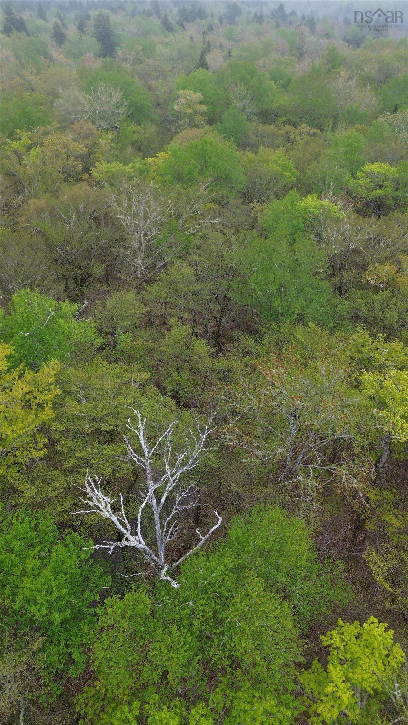 $34,900.00: Lot 46 Turner Point Road, Walden