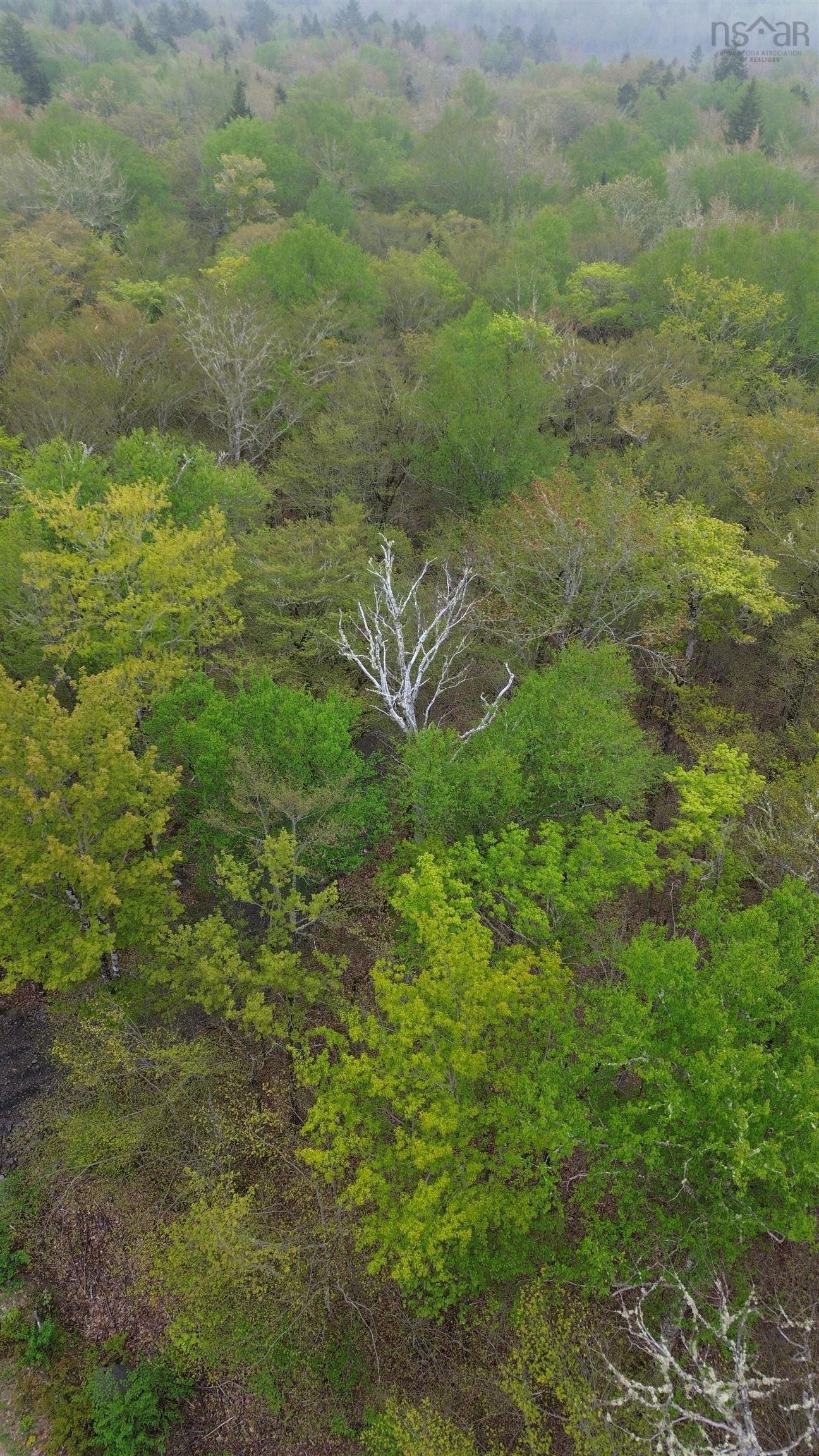 $34,900.00: Lot 46 Turner Point Road, Walden