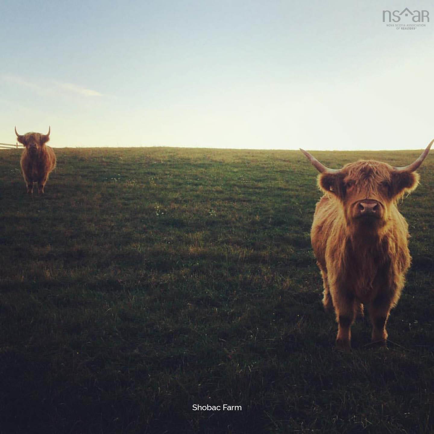 $475,000.00: Lot 6 Upper Kingsburg Road, Upper Kingsburg