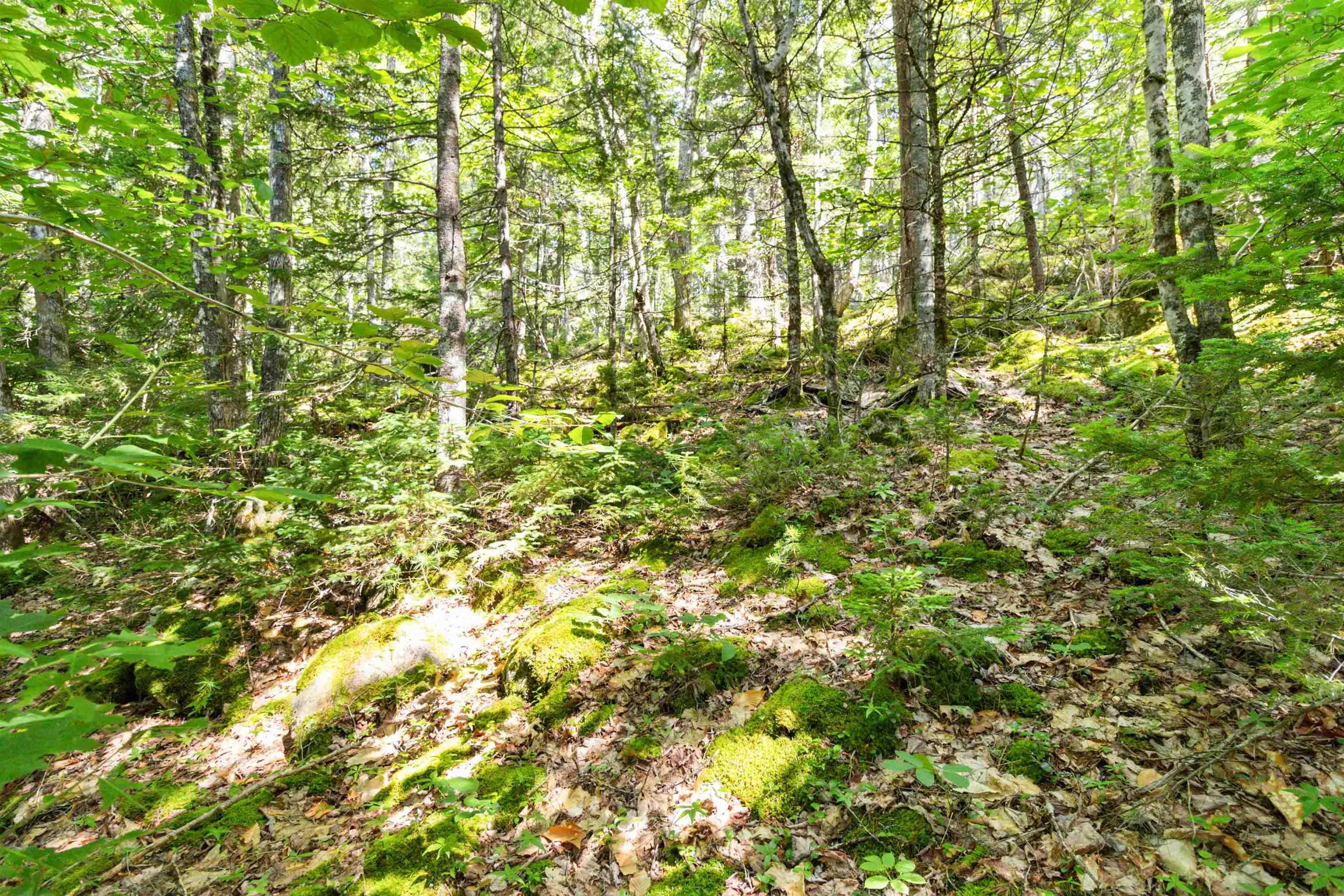 $69,900.00: Lot 24 Domino Drive, Westfield