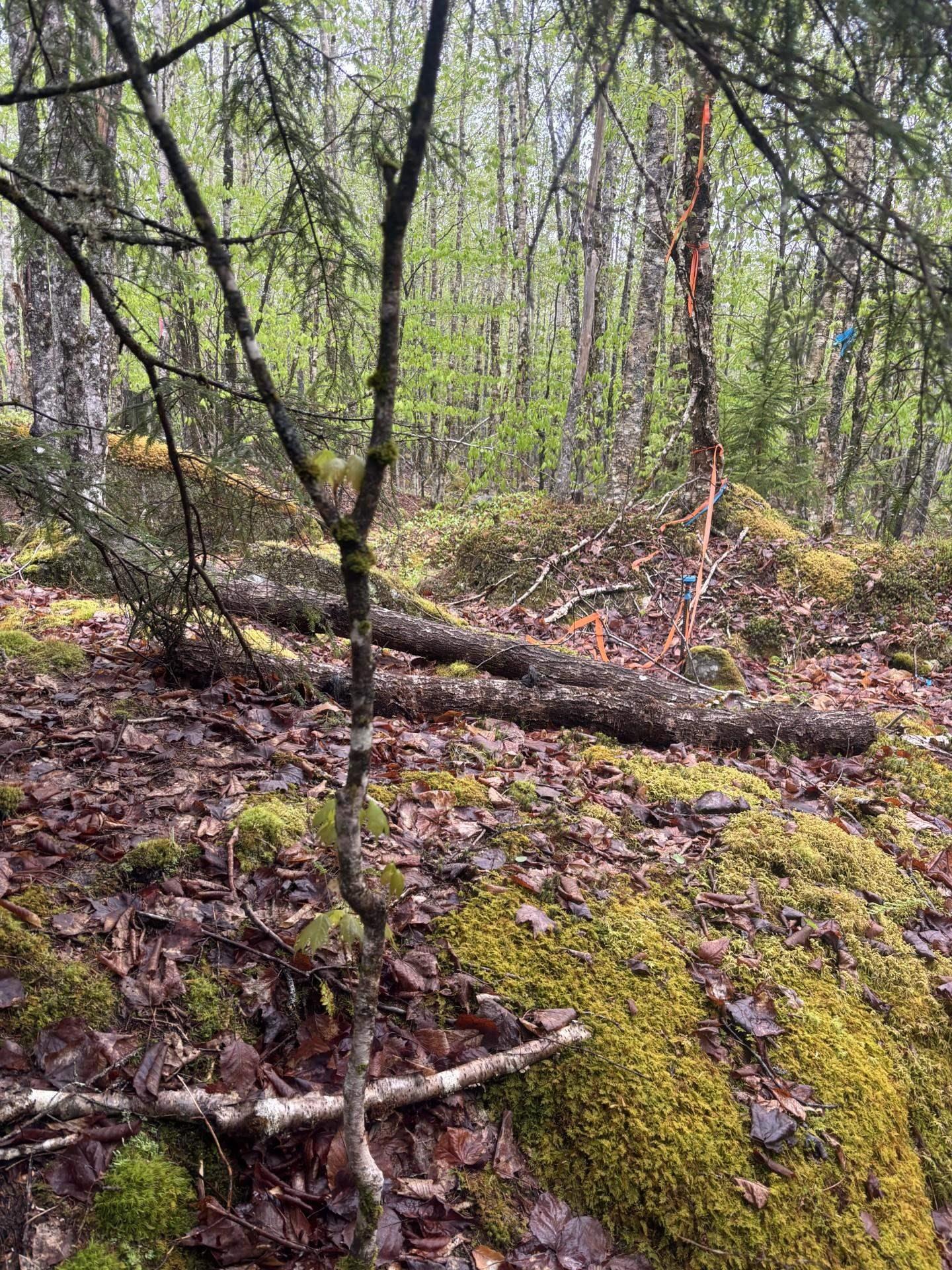 $25,000.00: Lot 81 Cliff View Drive, Parkdale