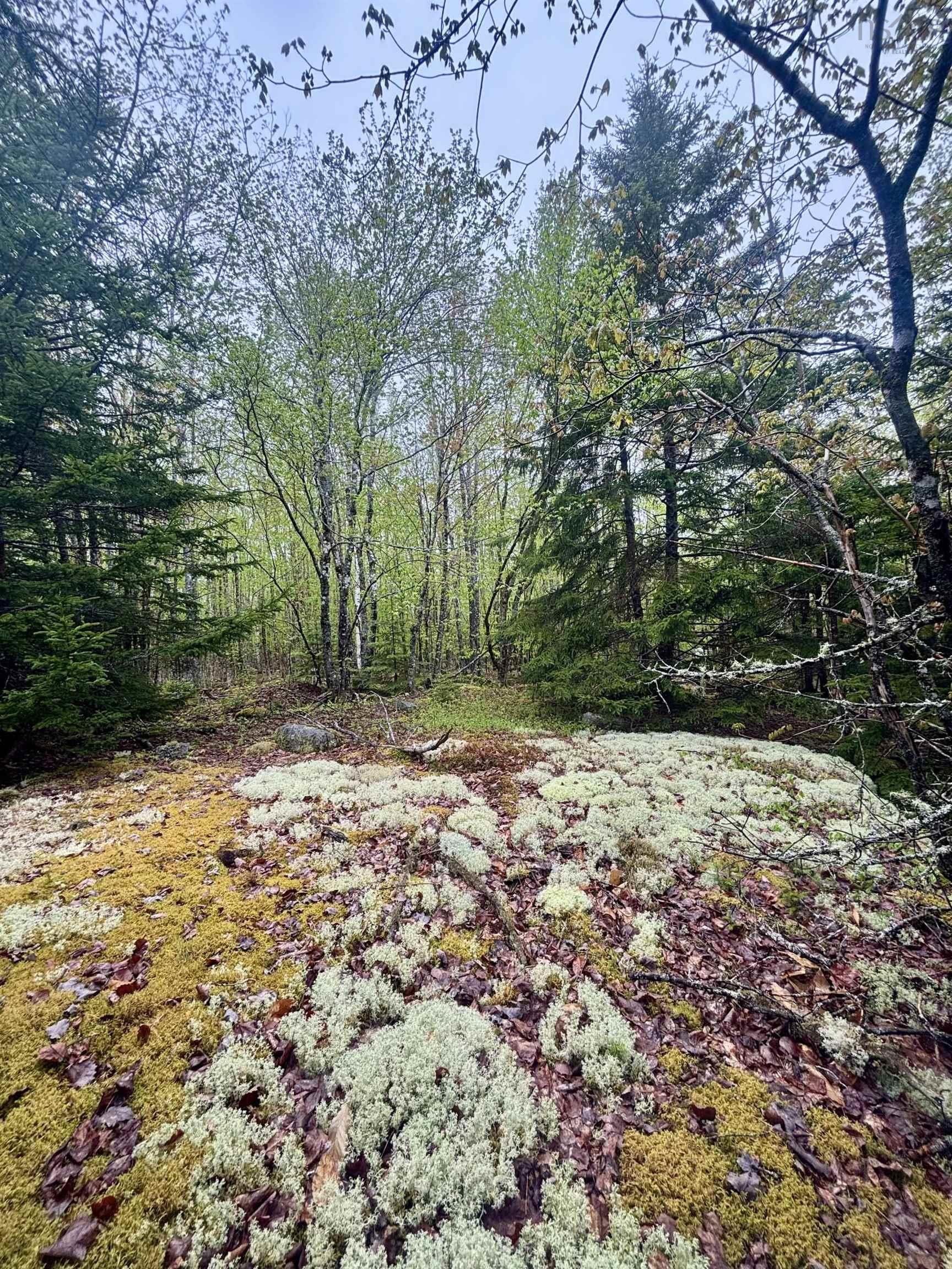 $25,000.00: Lot 81 Cliff View Drive, Parkdale