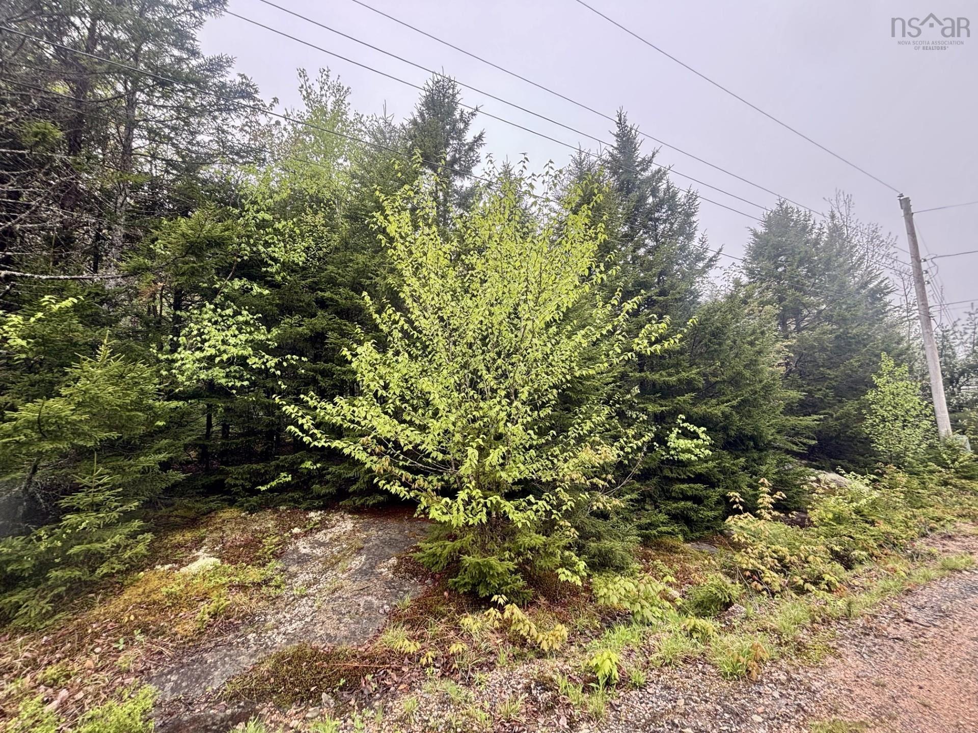 $25,000.00: Lot 81 Cliff View Drive, Parkdale