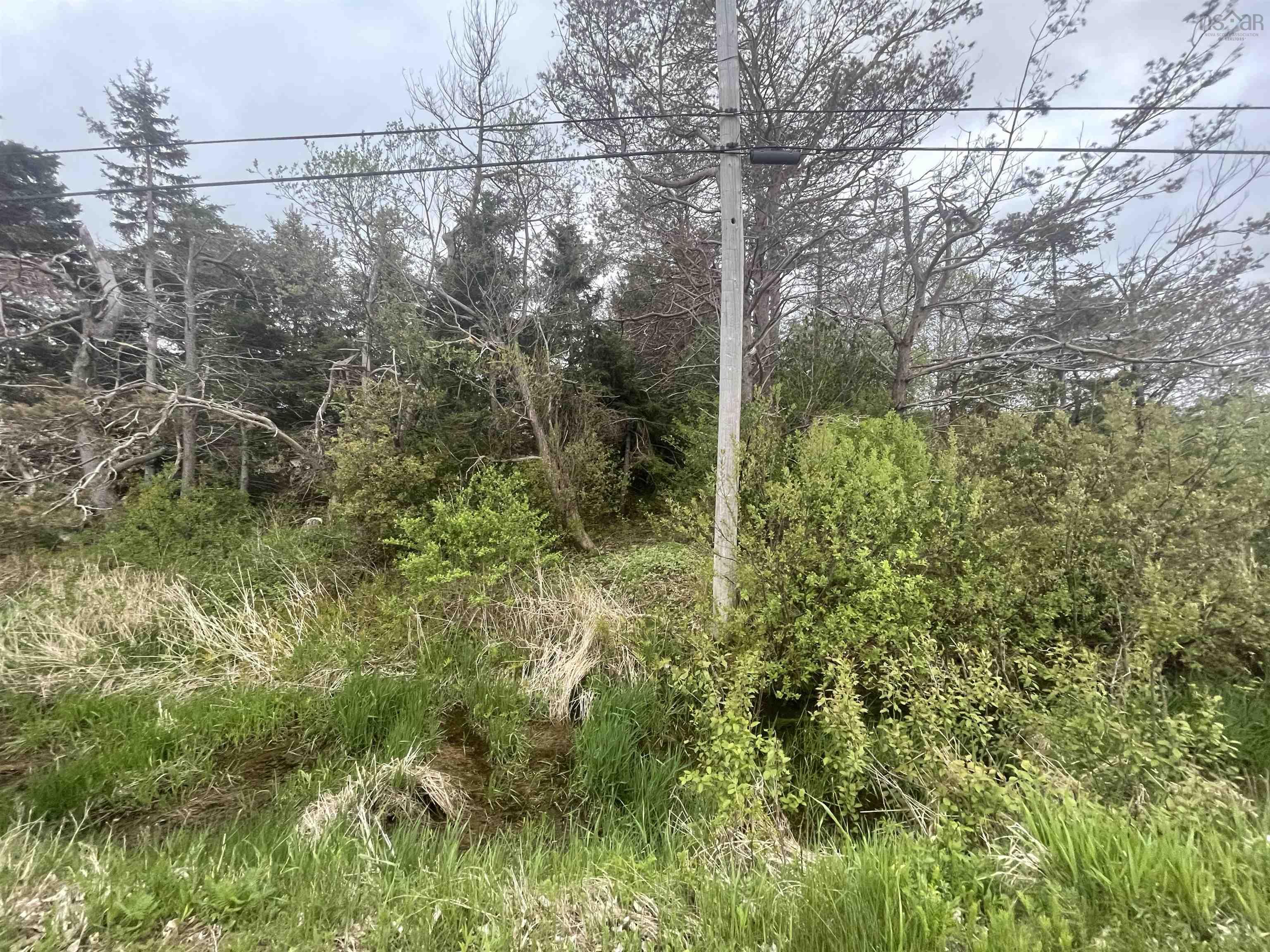 $129,000.00: VL Gulf Shore Road, Gulf Shore