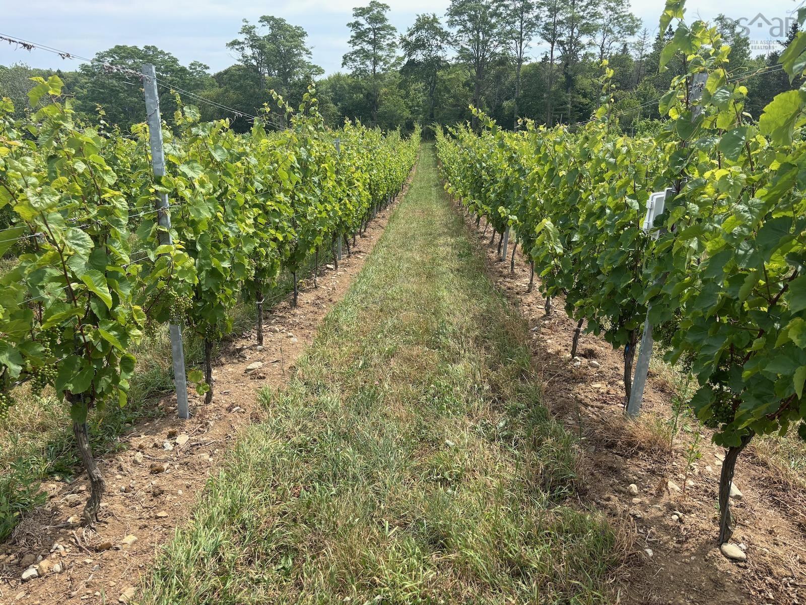 $1,490,000.00: 4113 340 Highway, Carleton