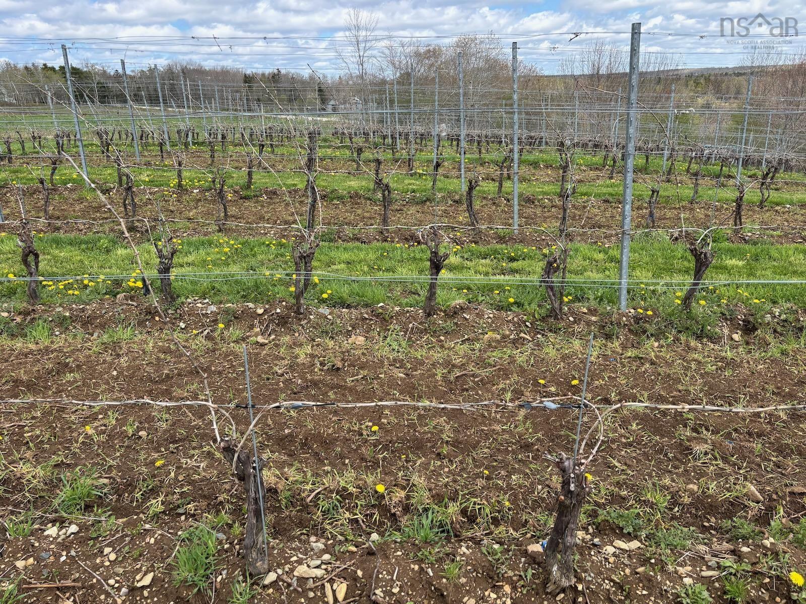 $1,490,000.00: 4113 340 Highway, Carleton