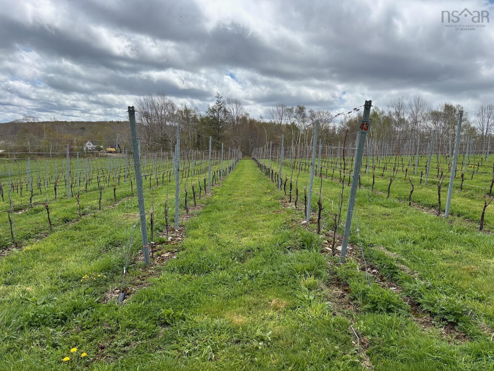 $1,490,000.00: 4113 340 Highway, Carleton