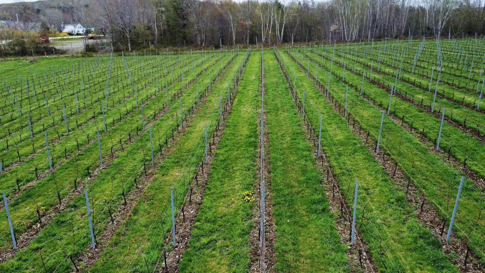 $1,490,000.00: 4113 340 Highway, Carleton