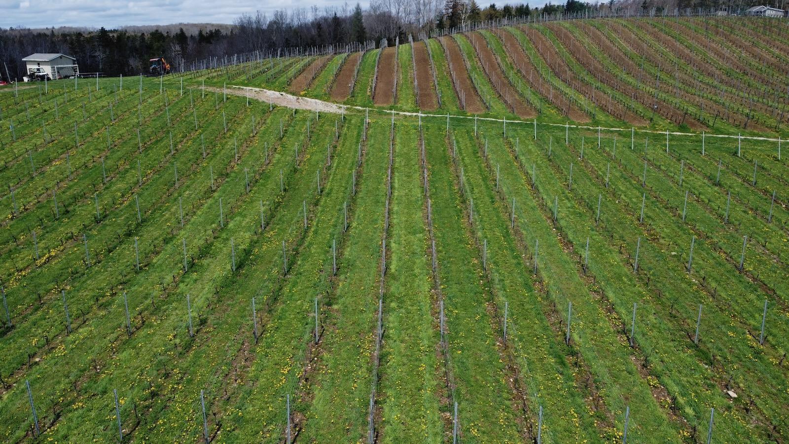 $1,490,000.00: 4113 340 Highway, Carleton