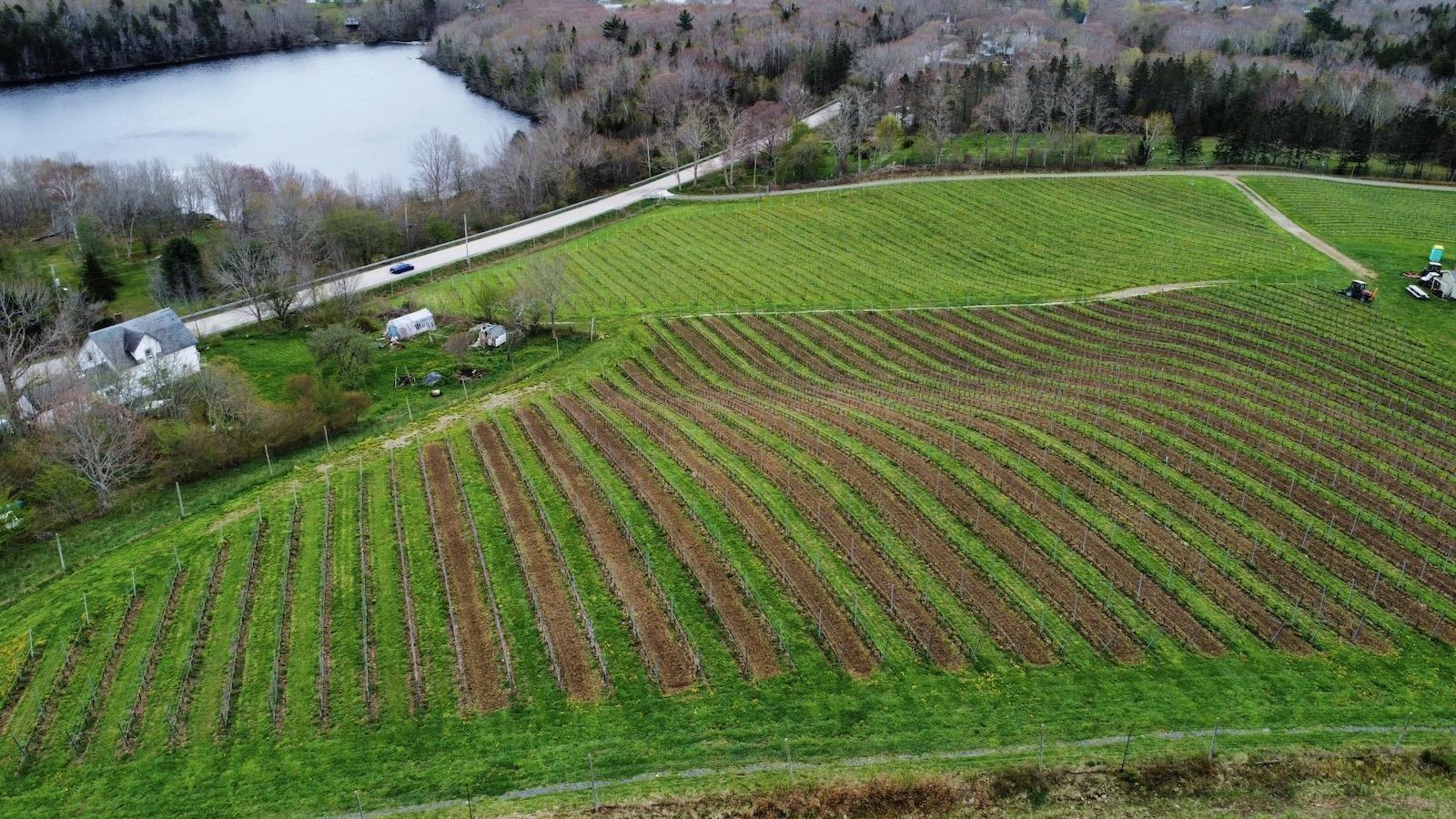 $1,490,000.00: 4113 340 Highway, Carleton