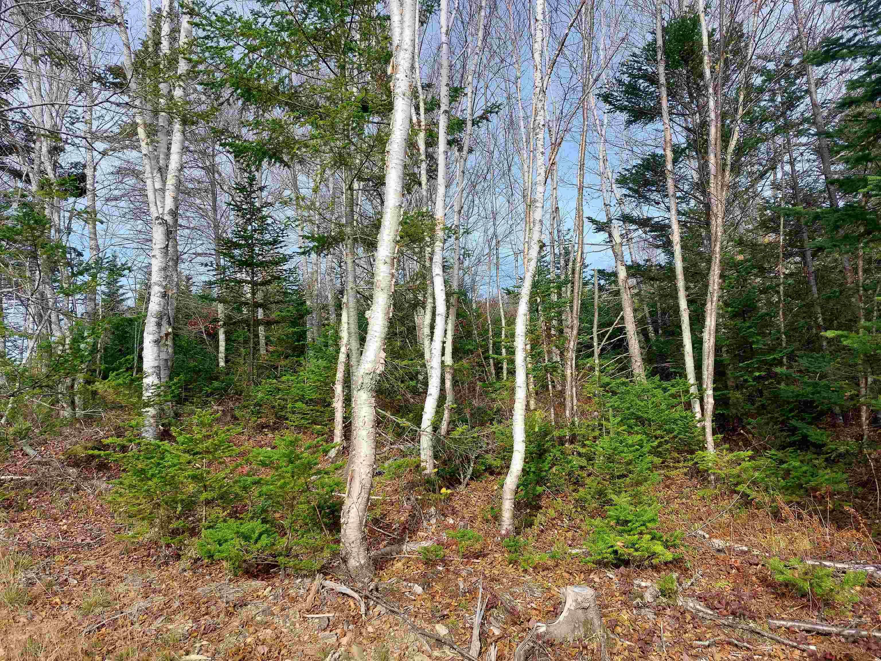 $69,000.00: Lot 2 Bjoern Seelhorst Dr., French Road