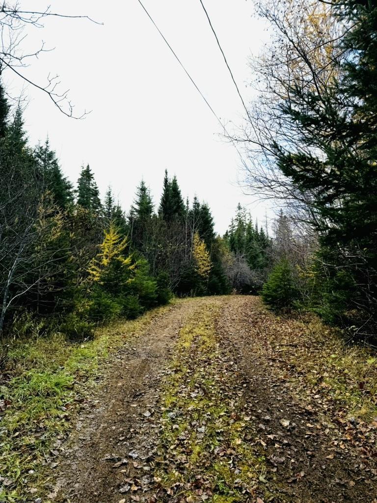 $299,000.00: 1629 Westside Middle River Road, Middle River