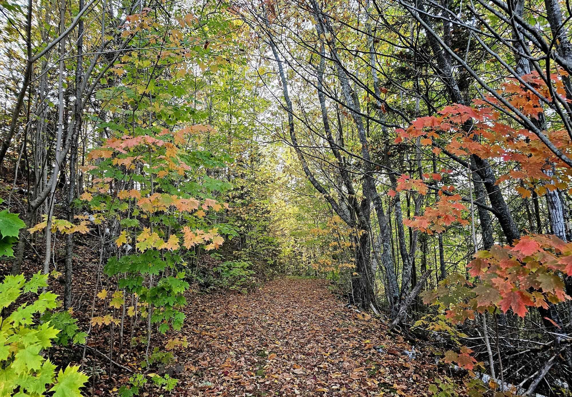 $849,000.00: 12812 Shore Road, Moshers Corner