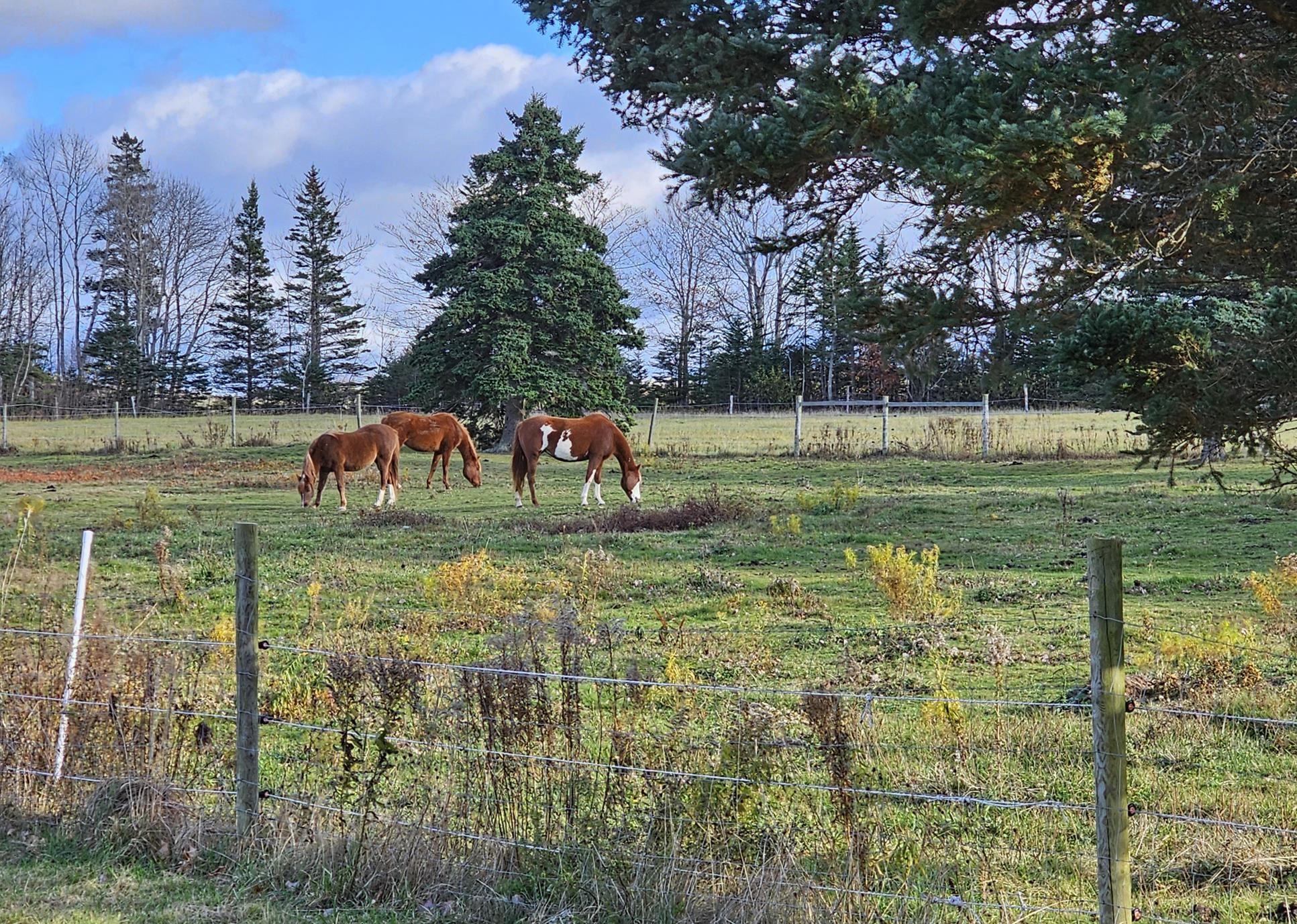 $849,000.00: 12812 Shore Road, Moshers Corner