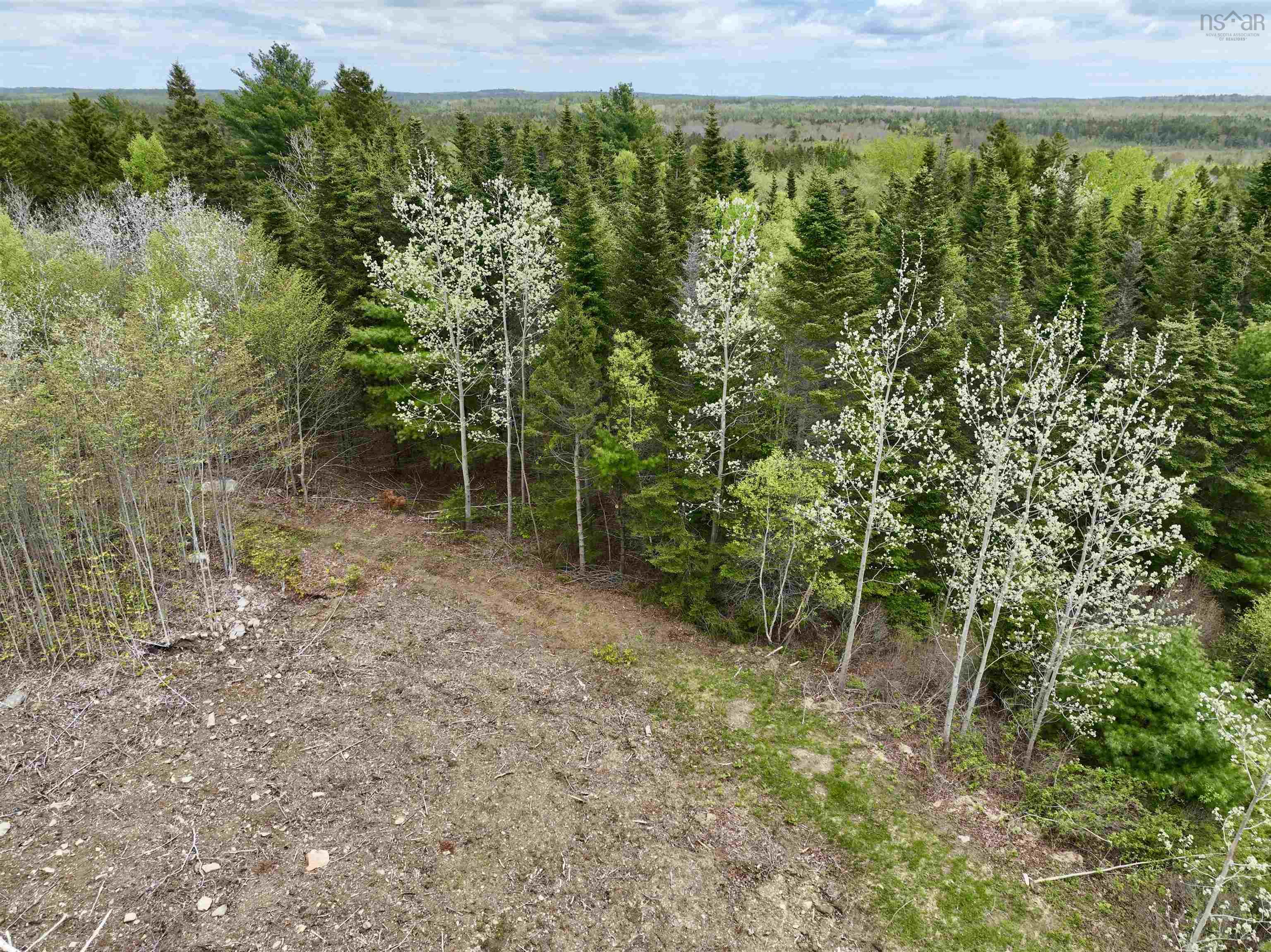 $52,900.00: Lot 15 Camperdown School Road, Middlewood