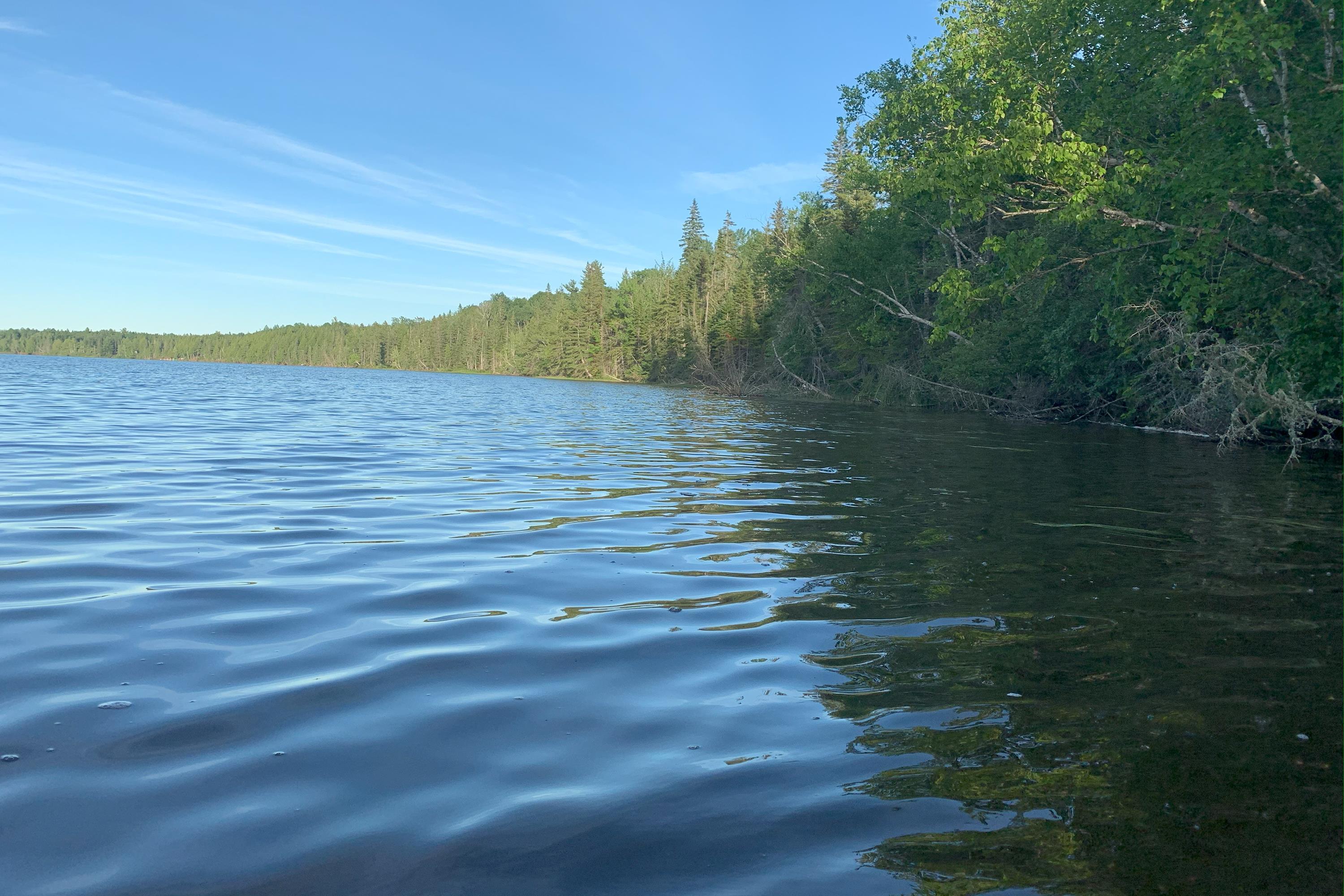 $36,000.00: 19 Black Lake Road, Black Lake