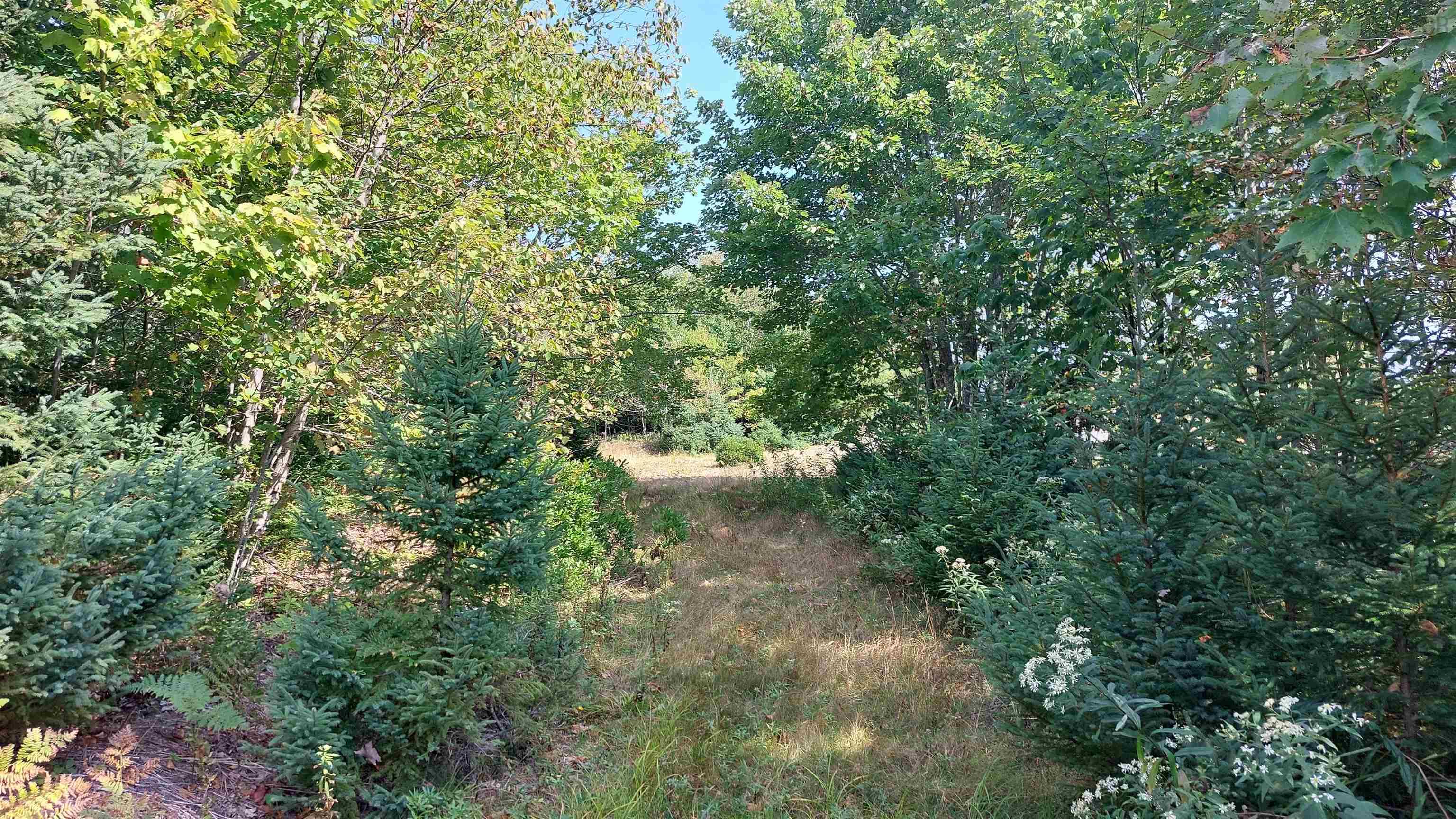 $199,000.00: Campbells Point, Grand Lake