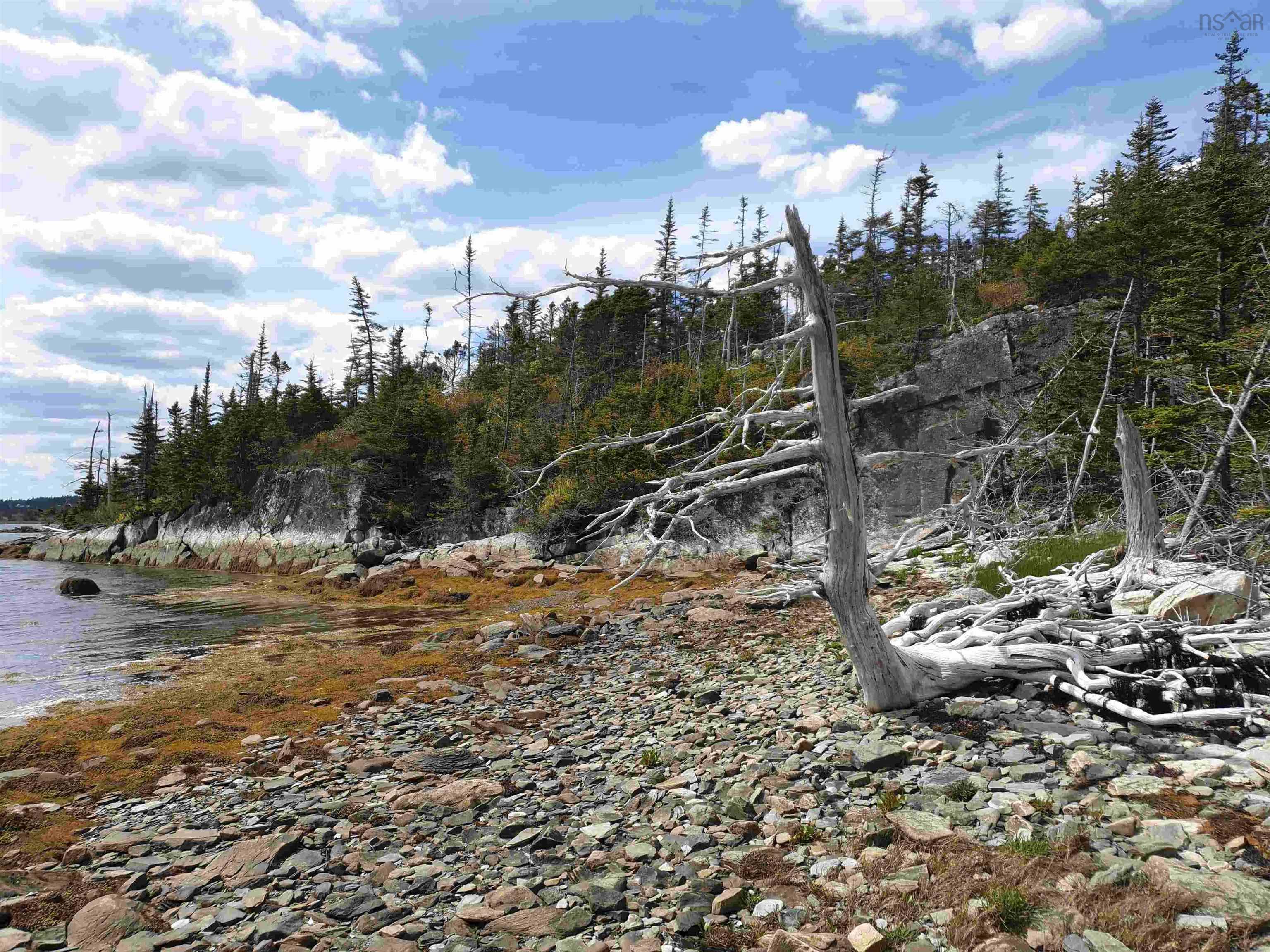 $85,000.00: No 7 Highway, Ecum Secum