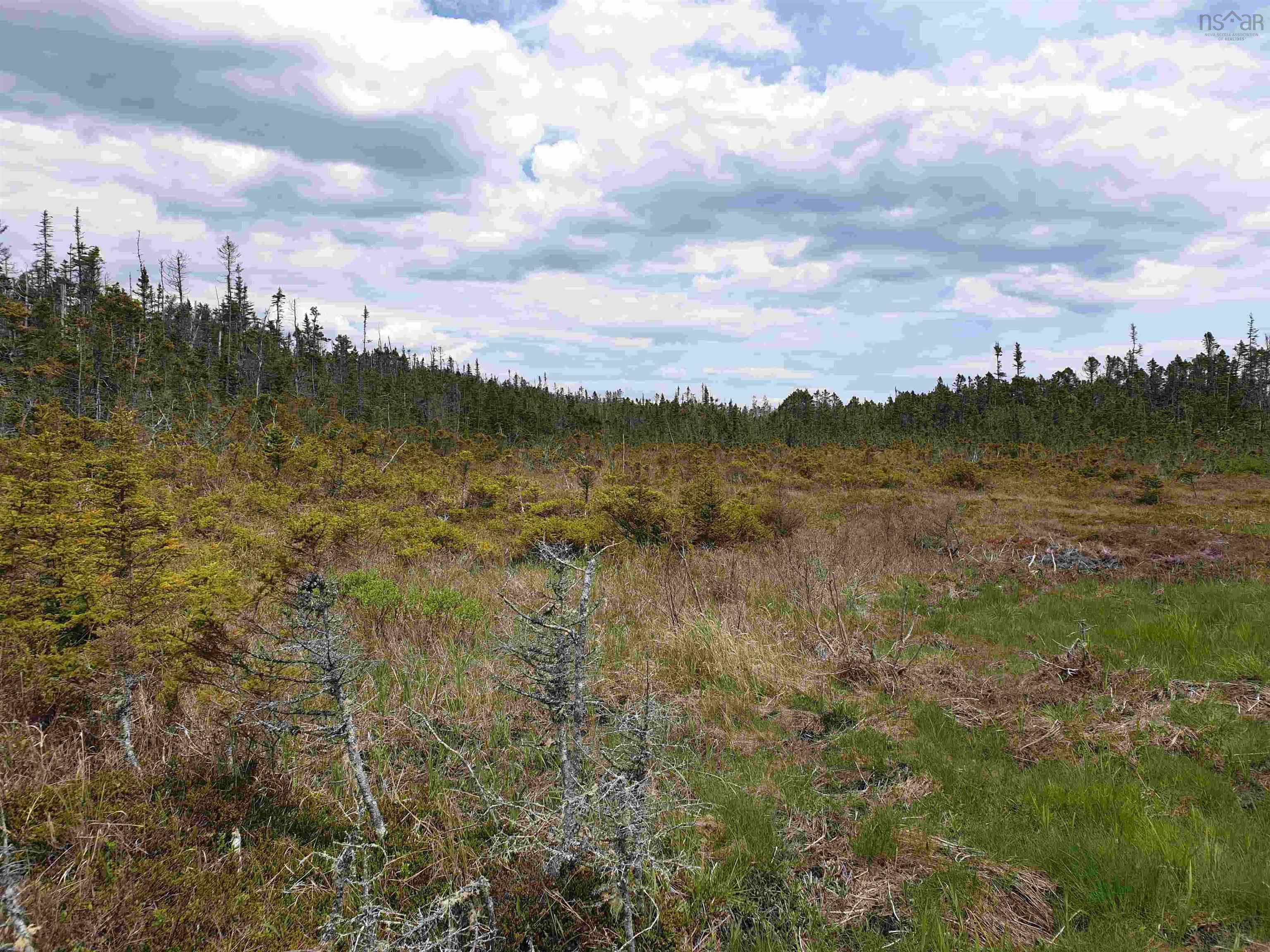 $85,000.00: No 7 Highway, Ecum Secum