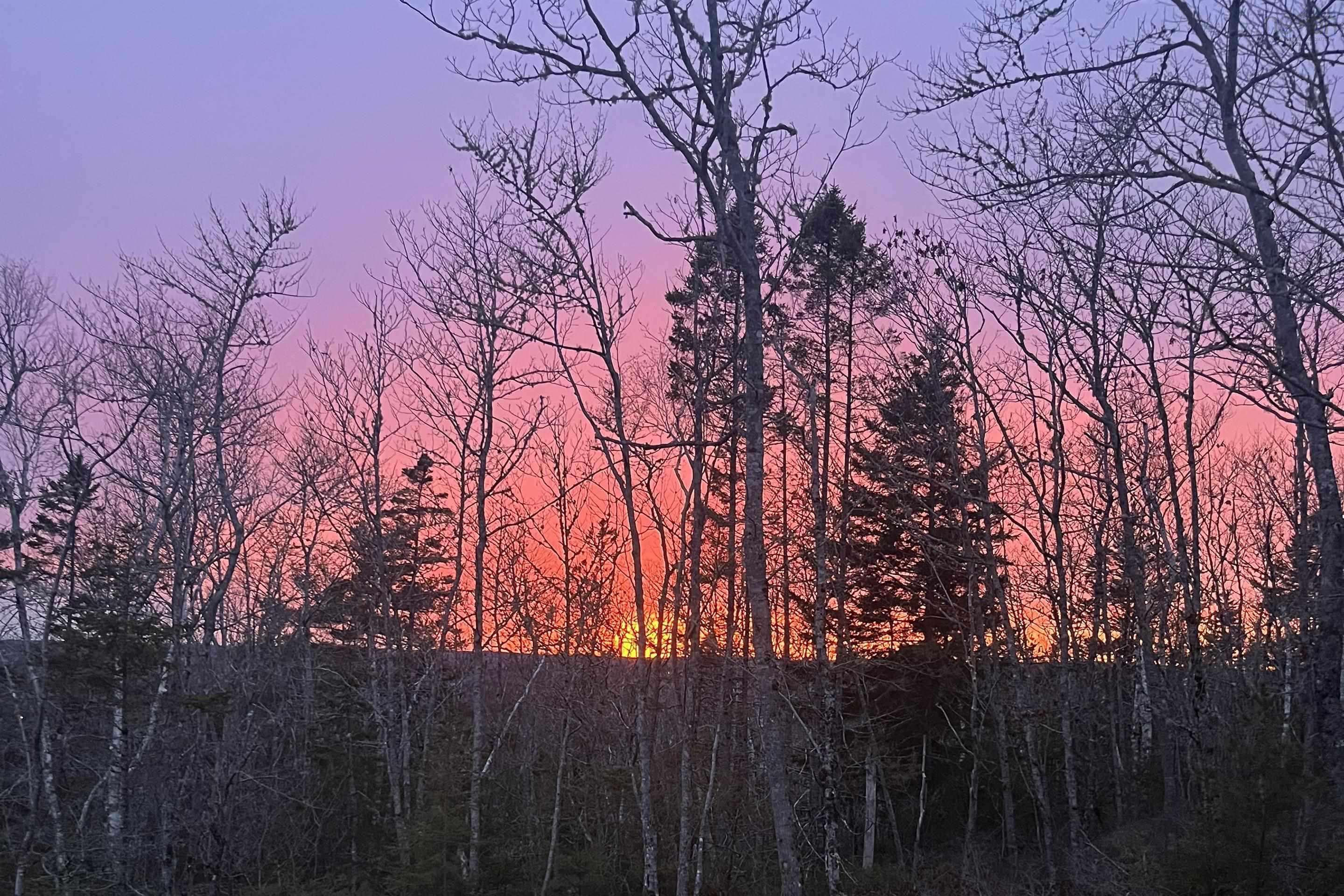 1169 Fleetwood Drive, Fall River, NS (MLS 202512042)