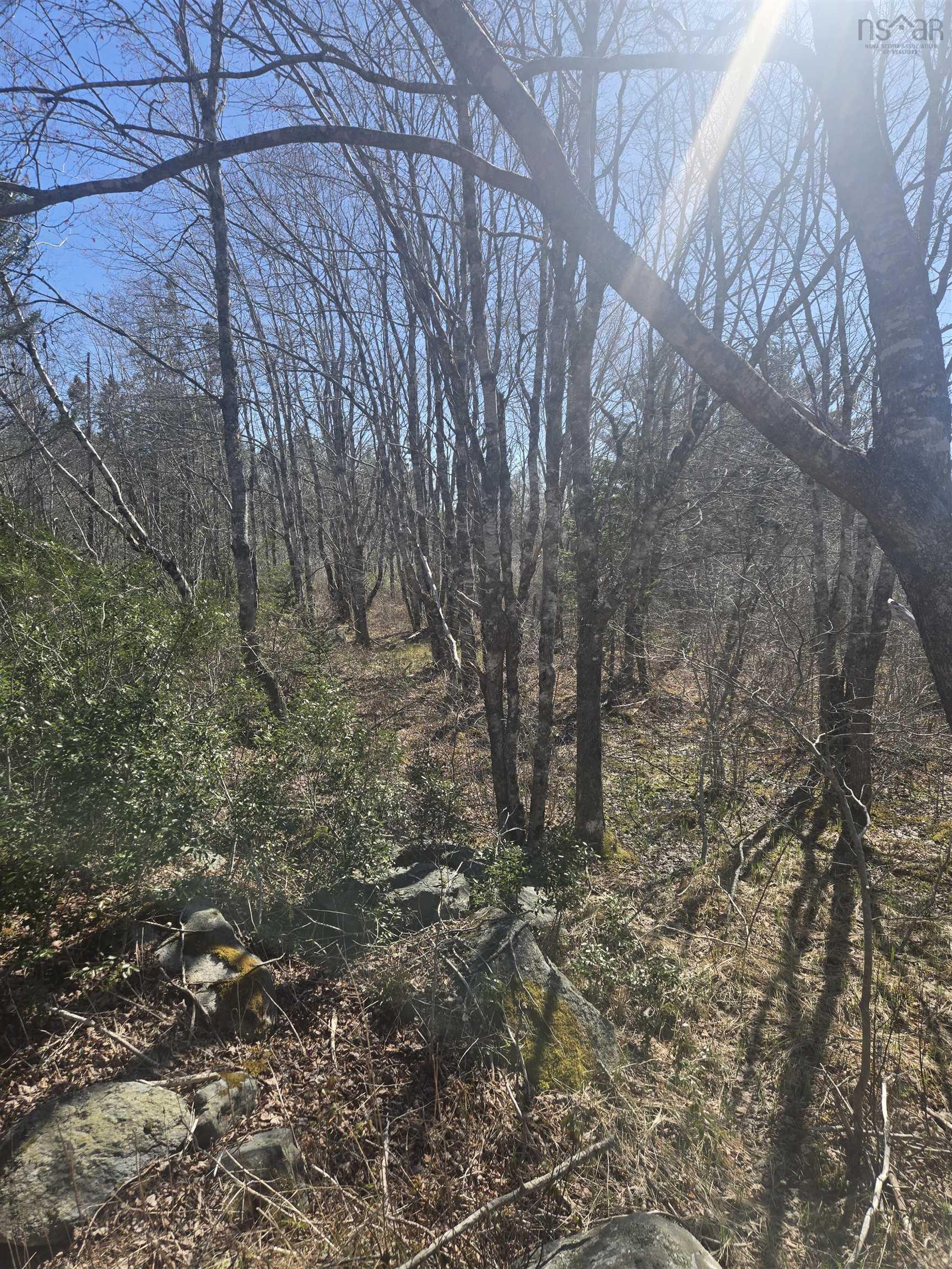 $45,000.00: LOT B Lake Road, Sandy Point