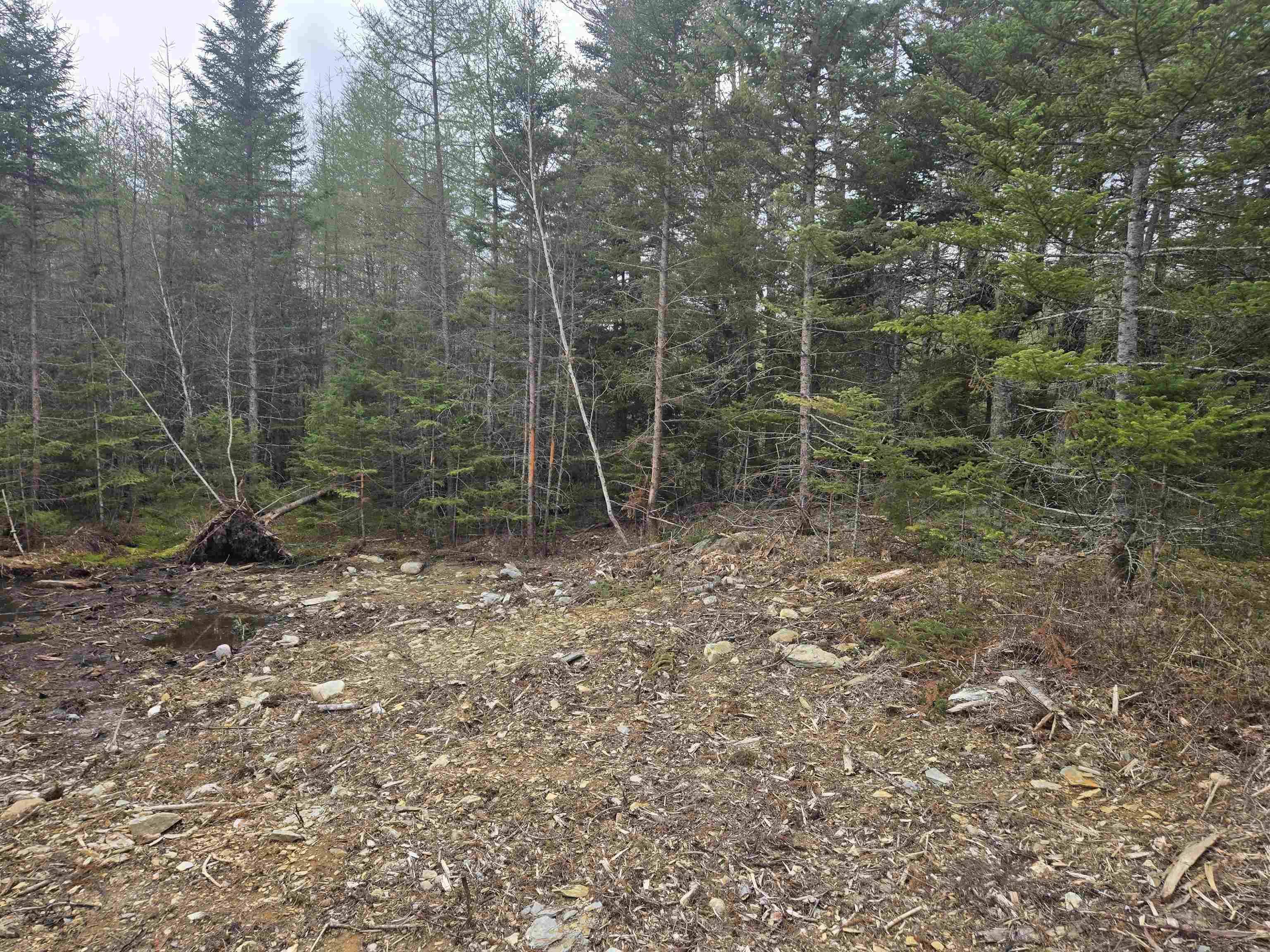 $37,900.00: LOT #3 Waterloo Road, Waterloo