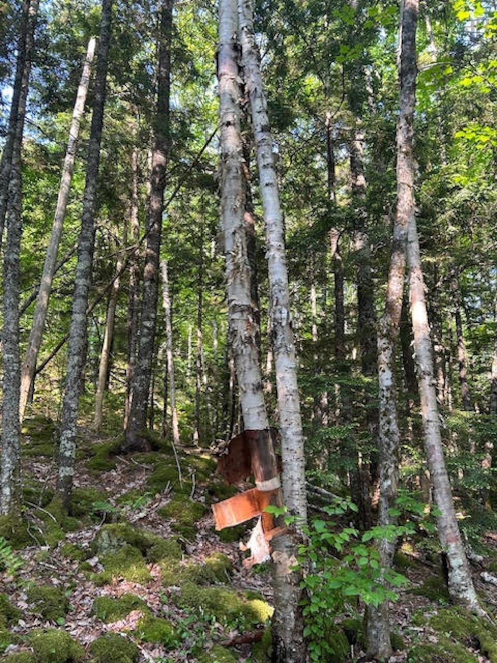 $1,780,000.00: 33 Cairnstone Lane, Bedford