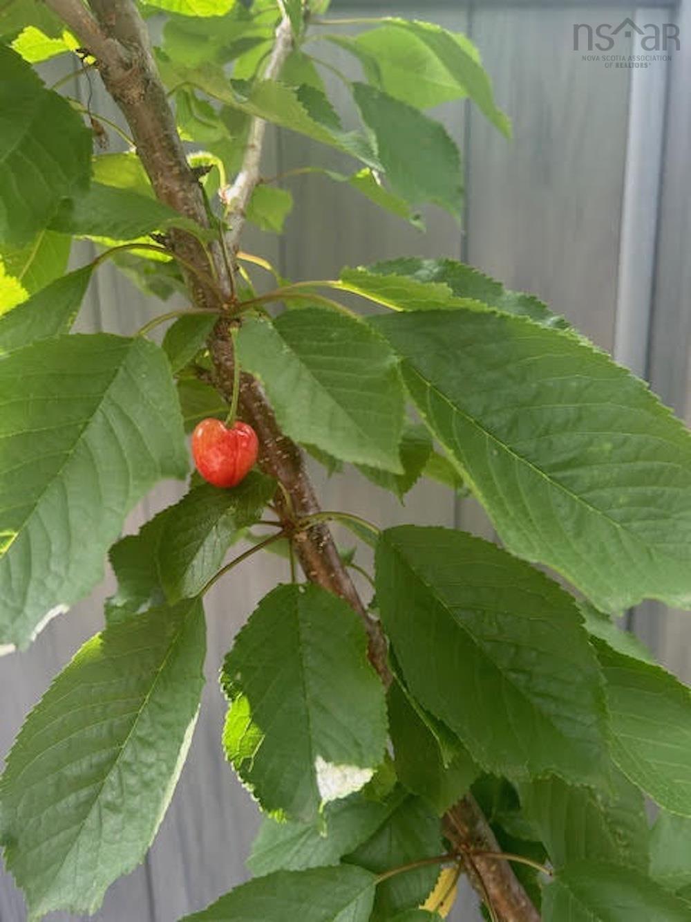 $1,780,000.00: 33 Cairnstone Lane, Bedford