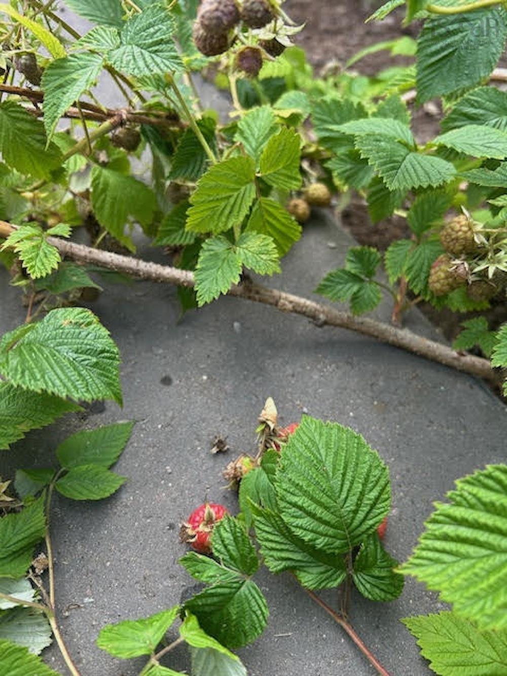 $1,780,000.00: 33 Cairnstone Lane, Bedford