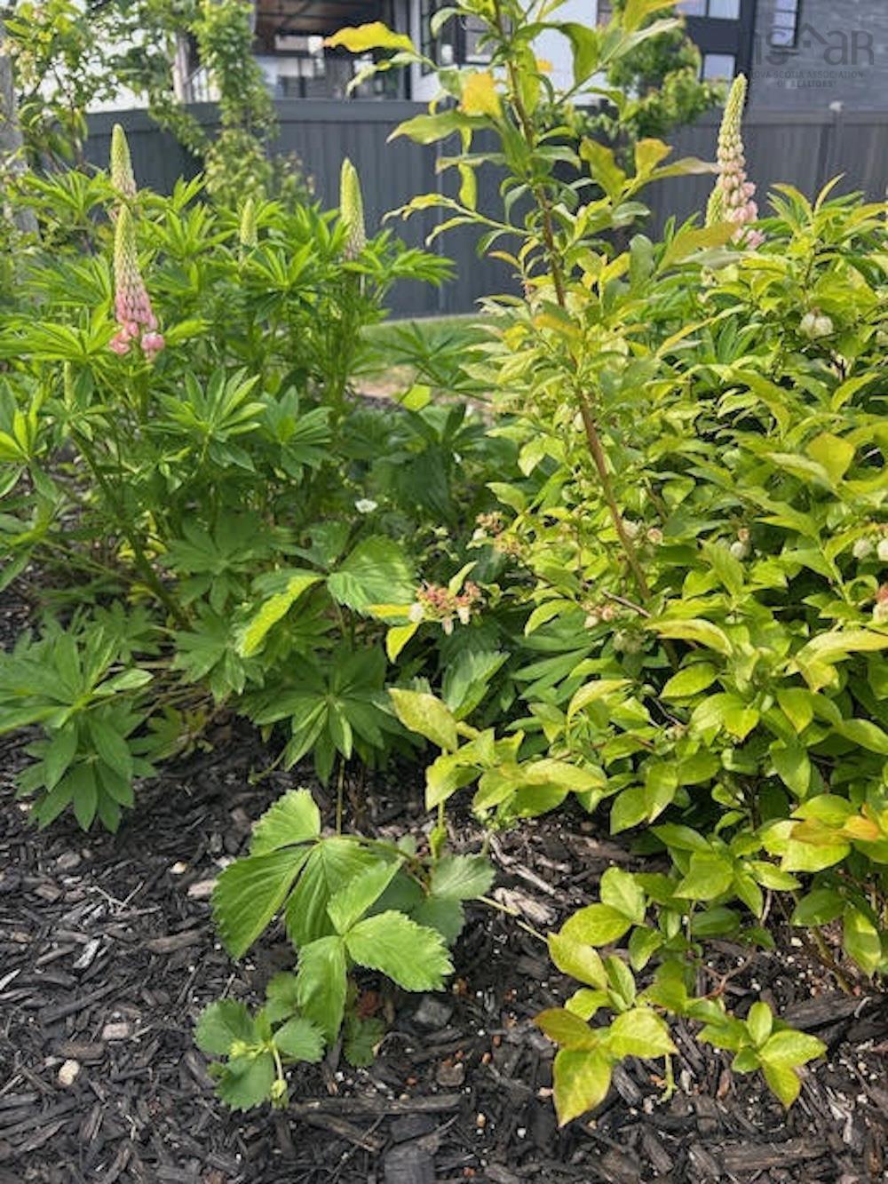 $1,780,000.00: 33 Cairnstone Lane, Bedford