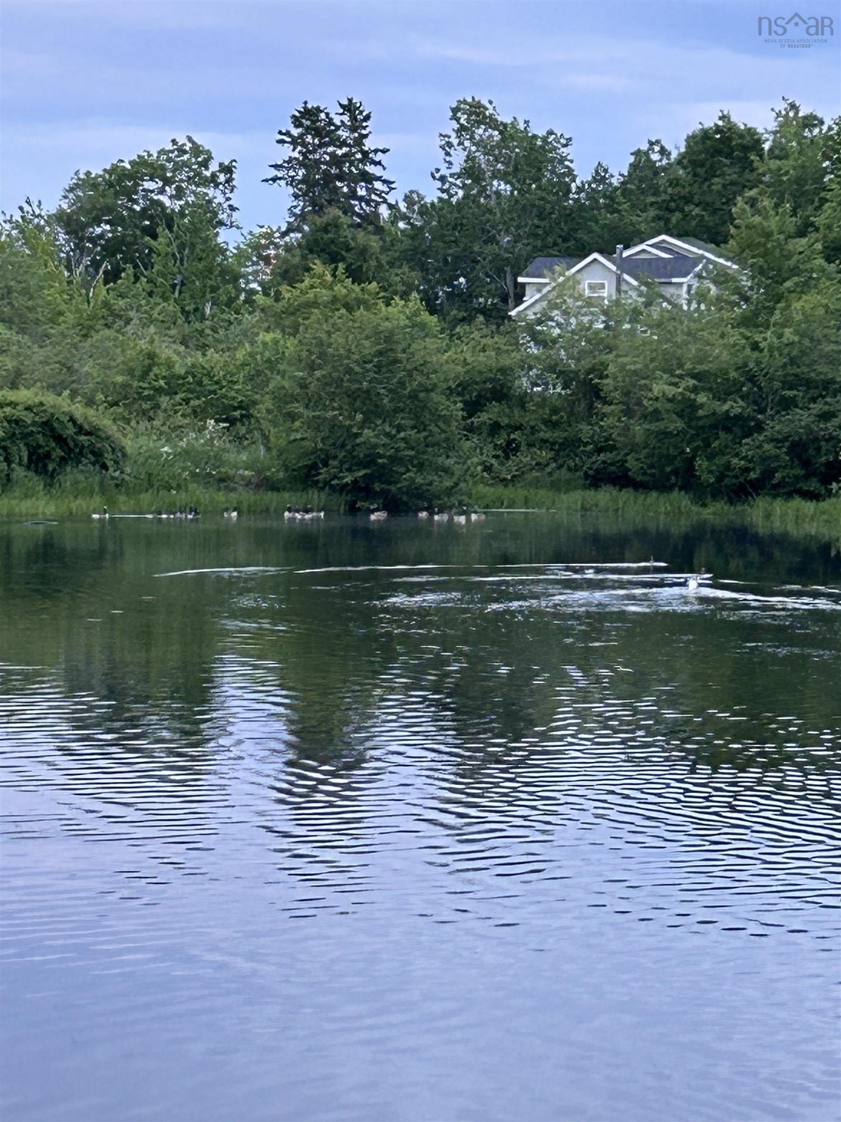 $1,080,000.00: 89 Basinview Road, Lockhartville