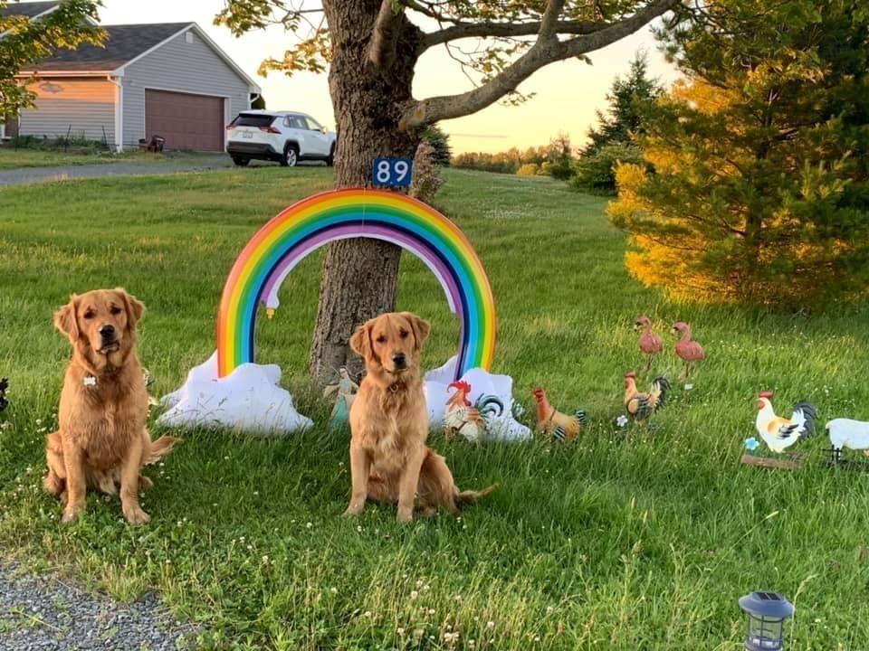 $1,080,000.00: 89 Basinview Road, Lockhartville