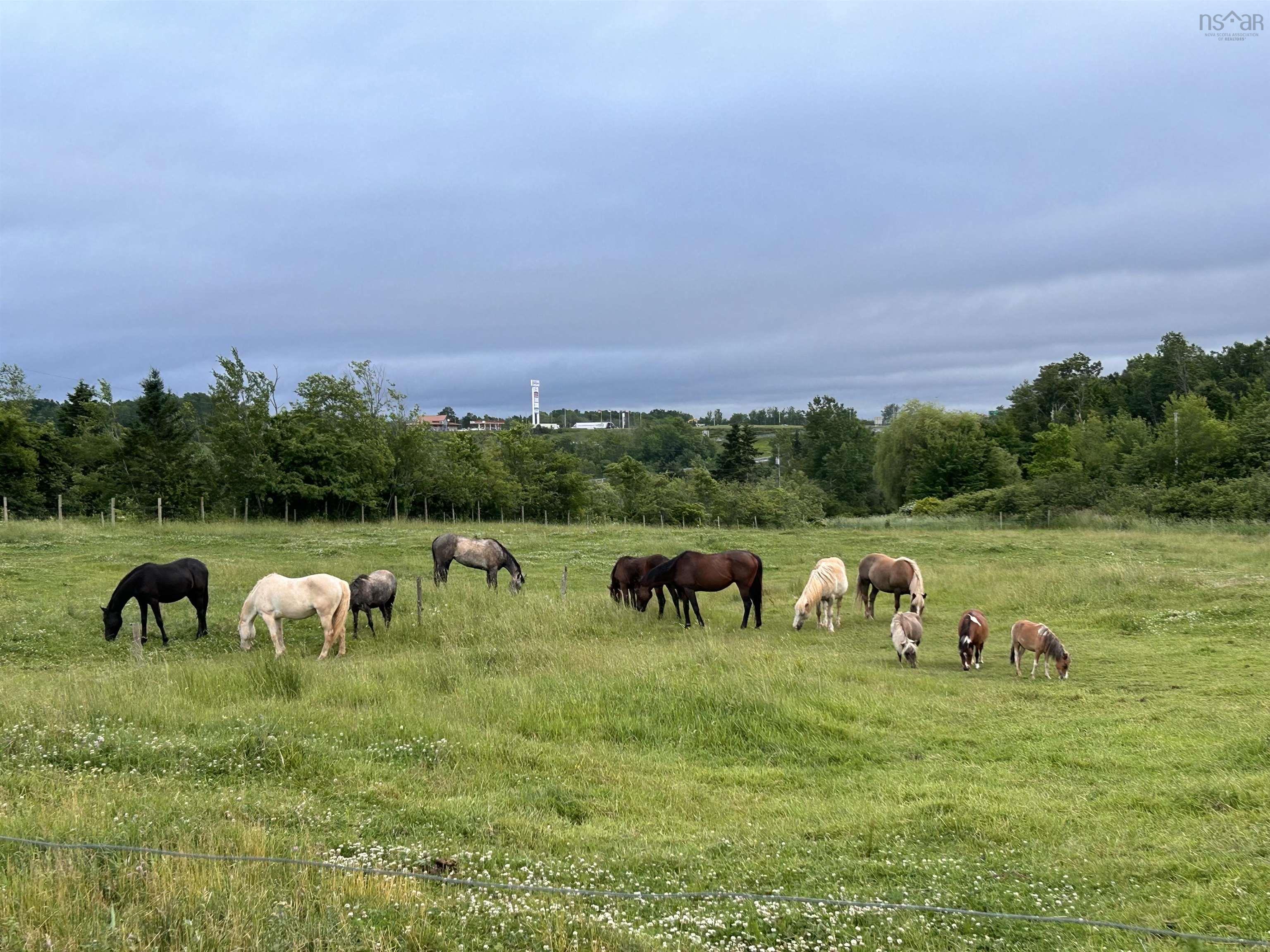 $1,080,000.00: 89 Basinview Road, Lockhartville