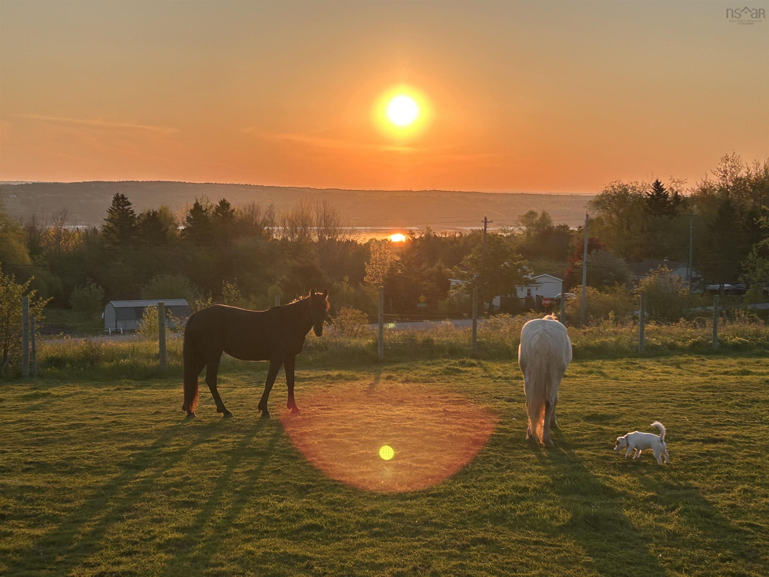 $1,080,000.00: 89 Basinview Road, Lockhartville