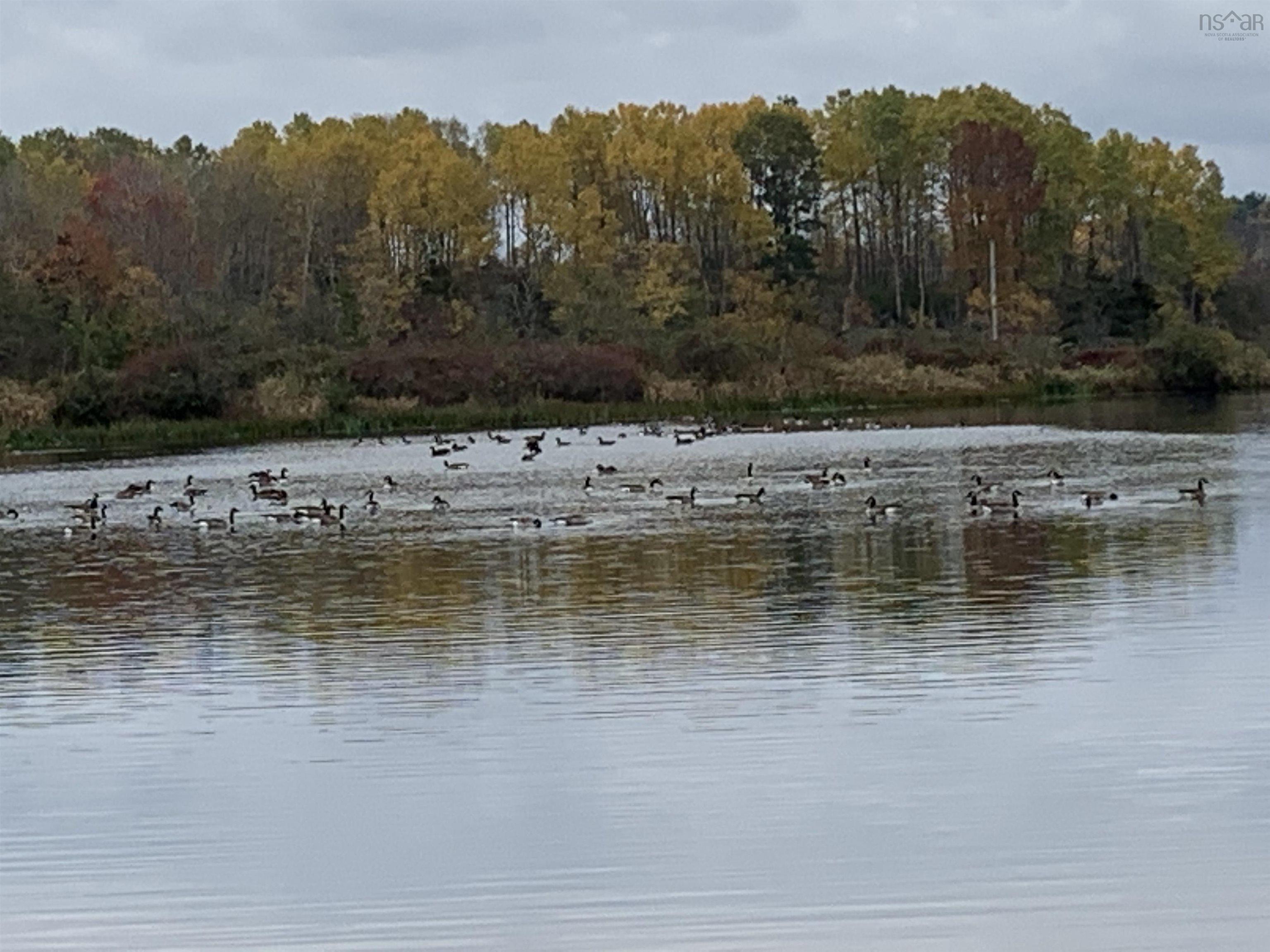 $1,080,000.00: 89 Basinview Road, Lockhartville