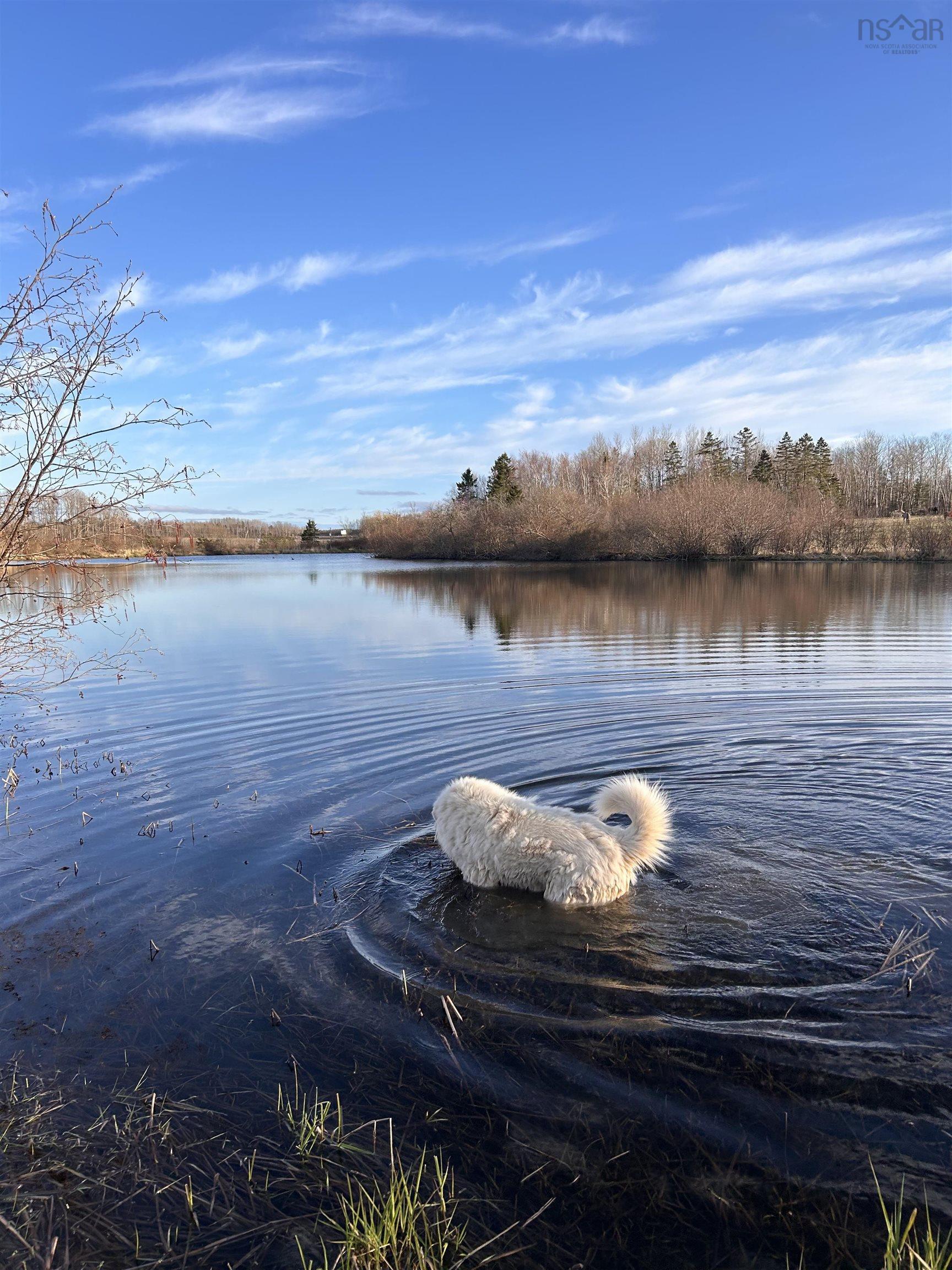 $1,080,000.00: 89 Basinview Road, Lockhartville