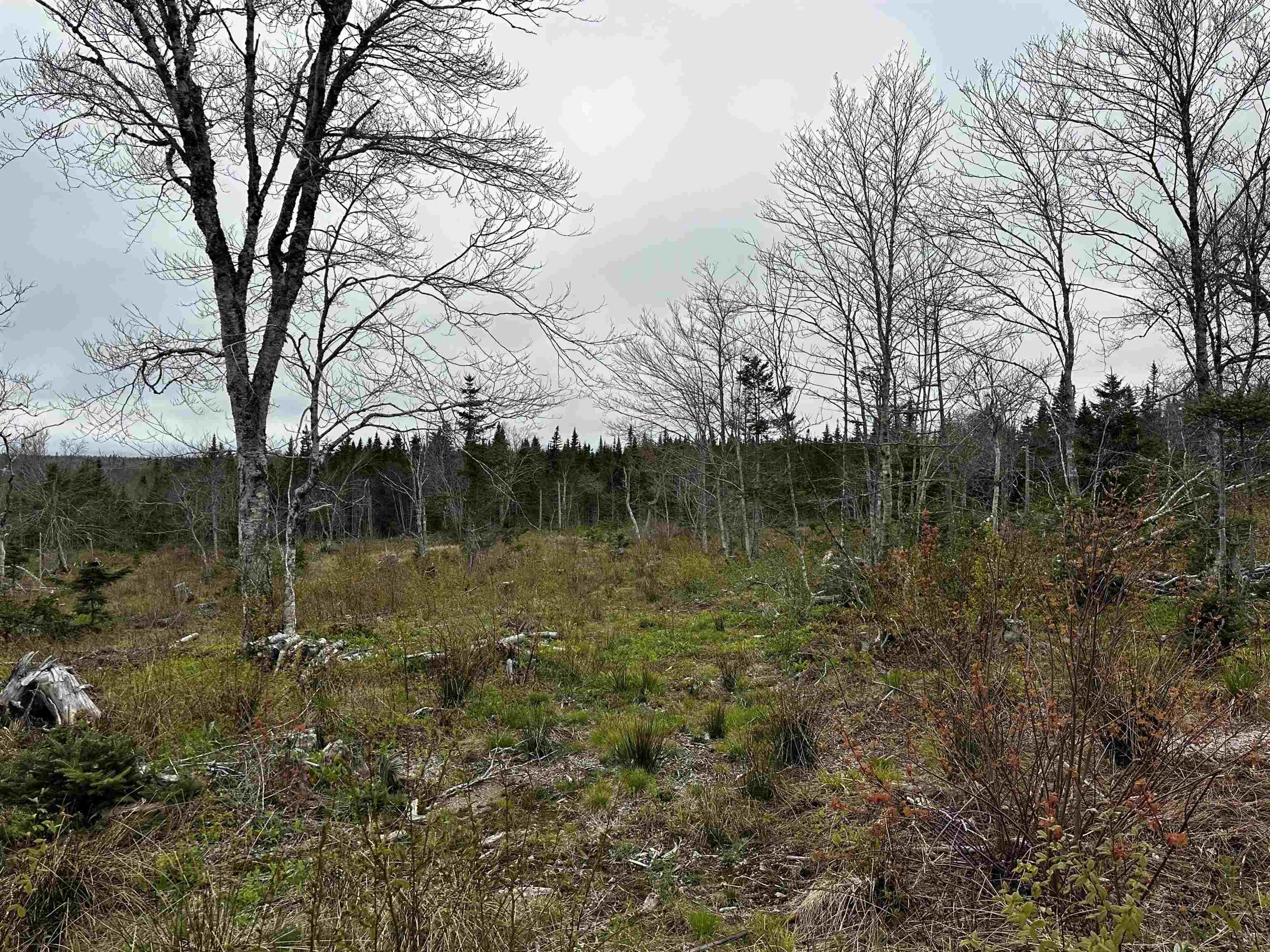 $125,000.00: 1138 Whycocomagh Mountain Road, Whycocomagh