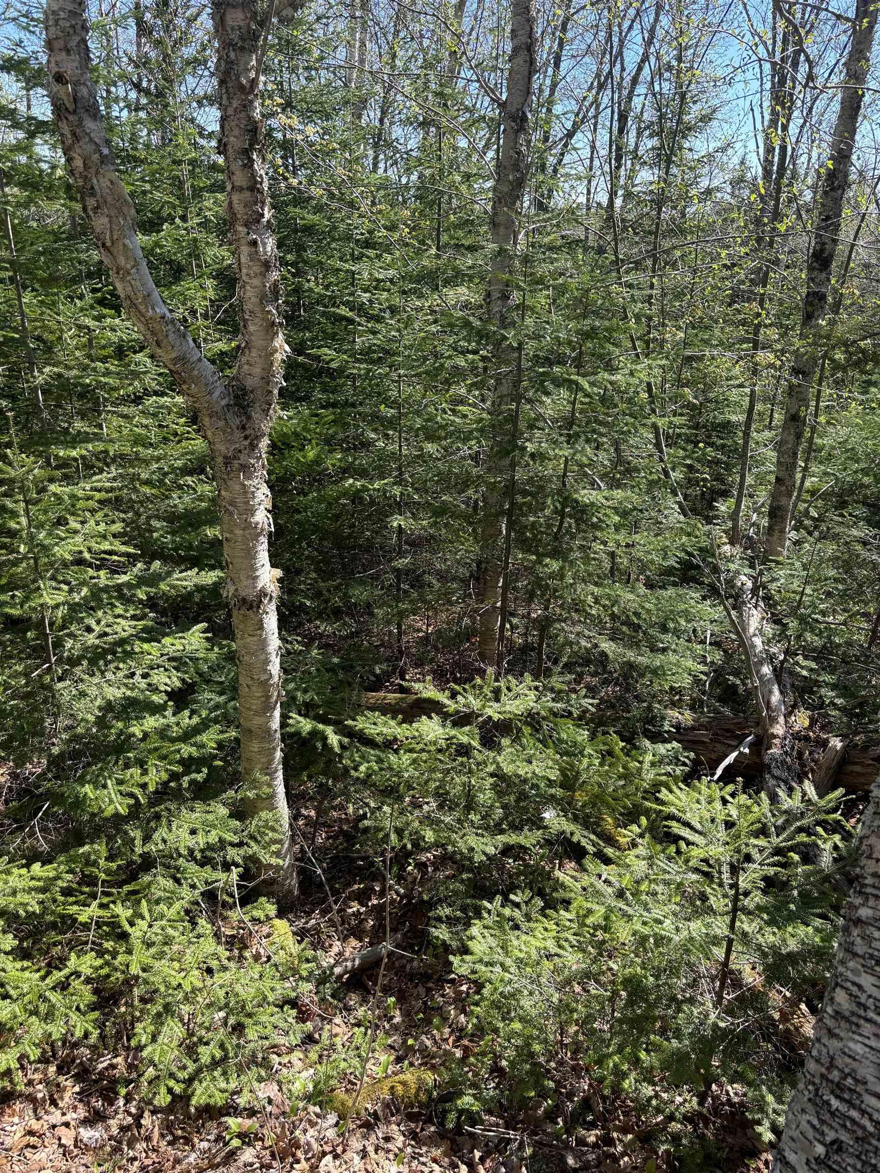 $39,900.00: LOT 3 Highway 10, Albany