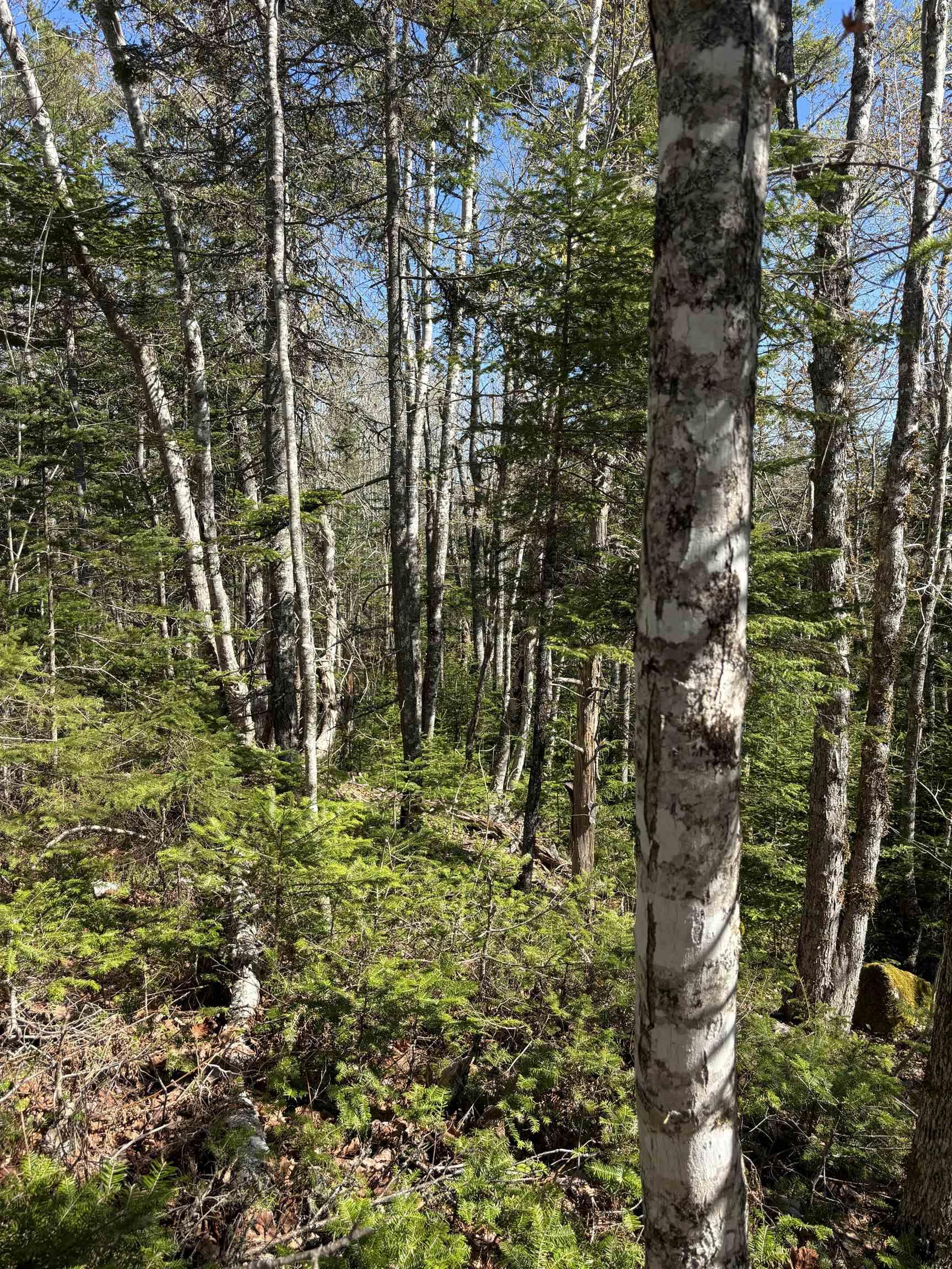 $39,900.00: LOT 3 Highway 10, Albany
