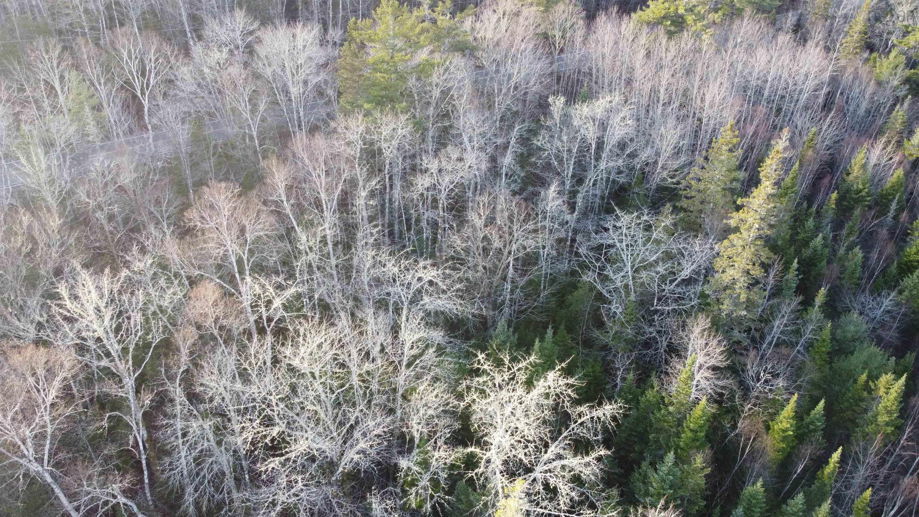 $29,900.00: LOT 3 Highway 10, Albany