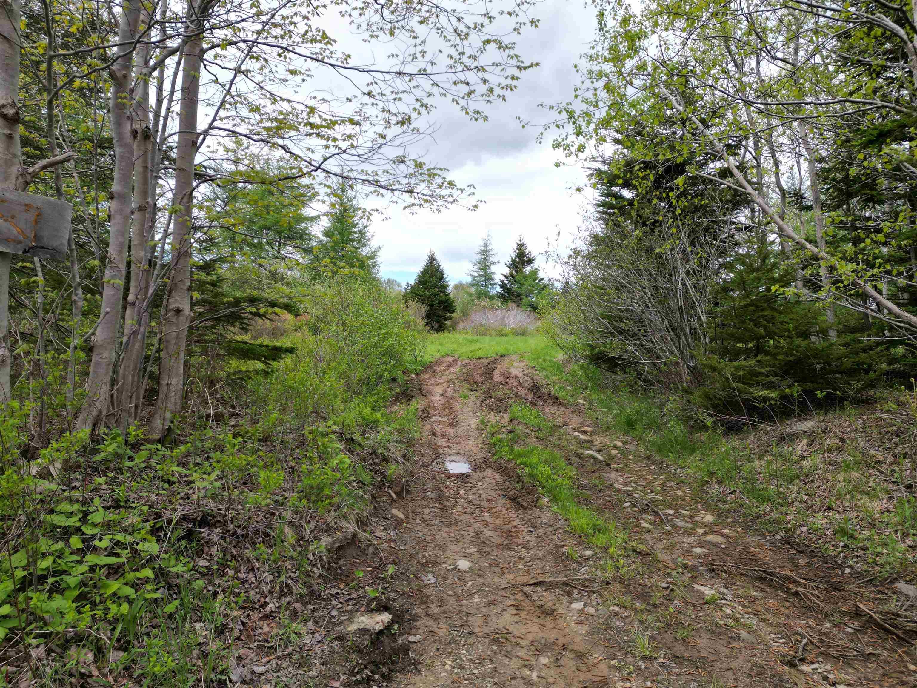 $49,900.00: LOT Dargie Cove Road, Beaver River