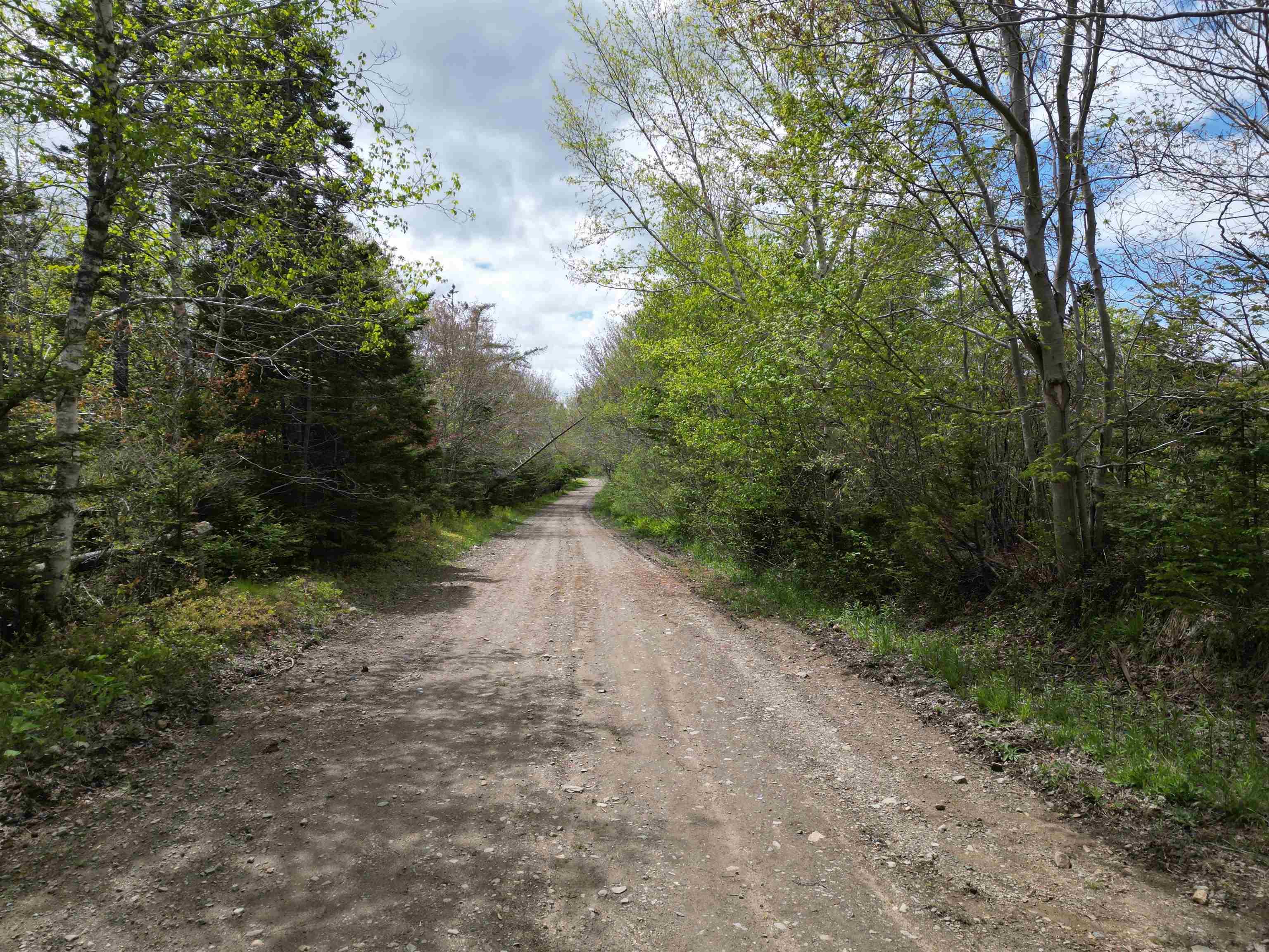 $49,900.00: LOT Dargie Cove Road, Beaver River