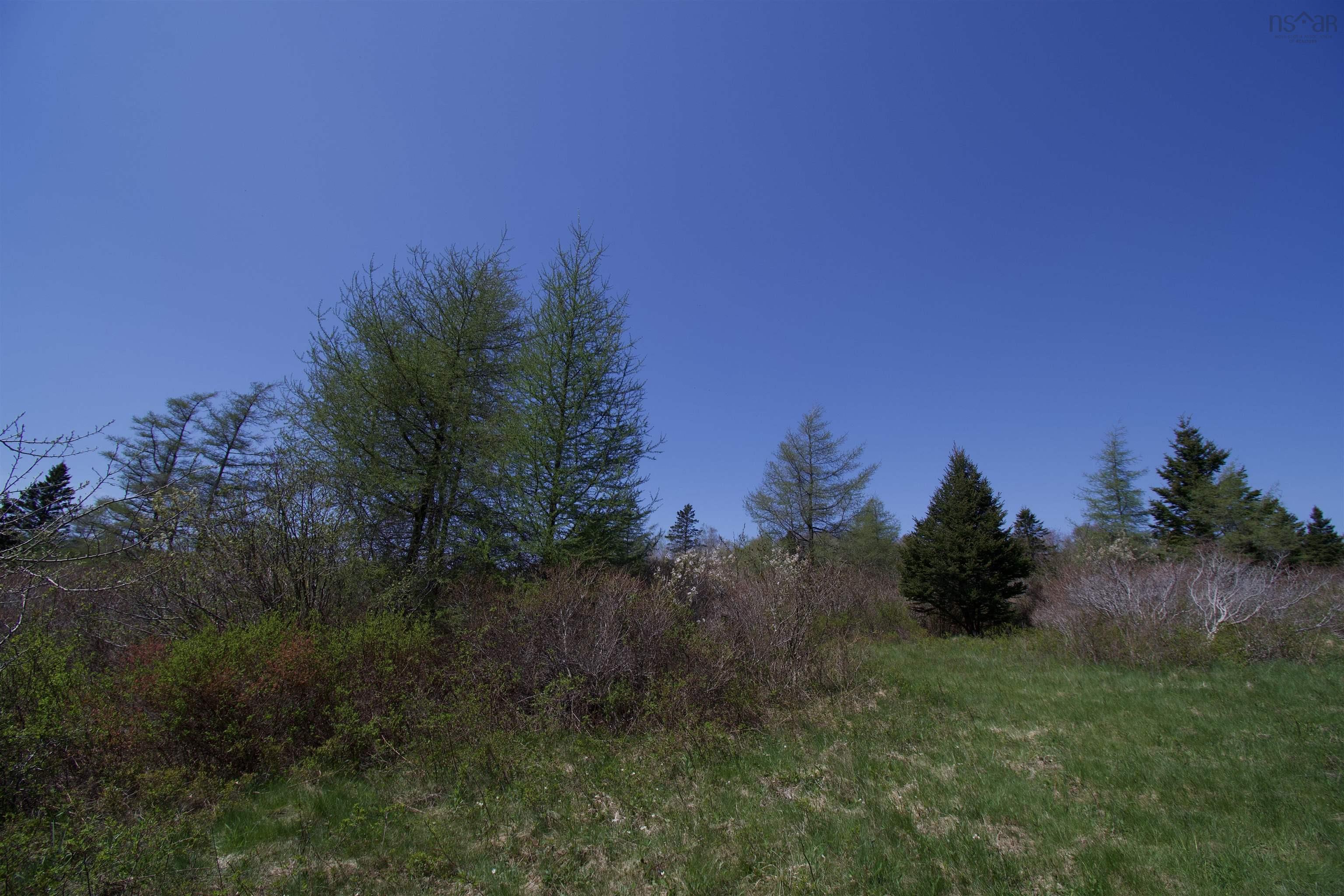 $49,900.00: LOT Dargie Cove Road, Beaver River