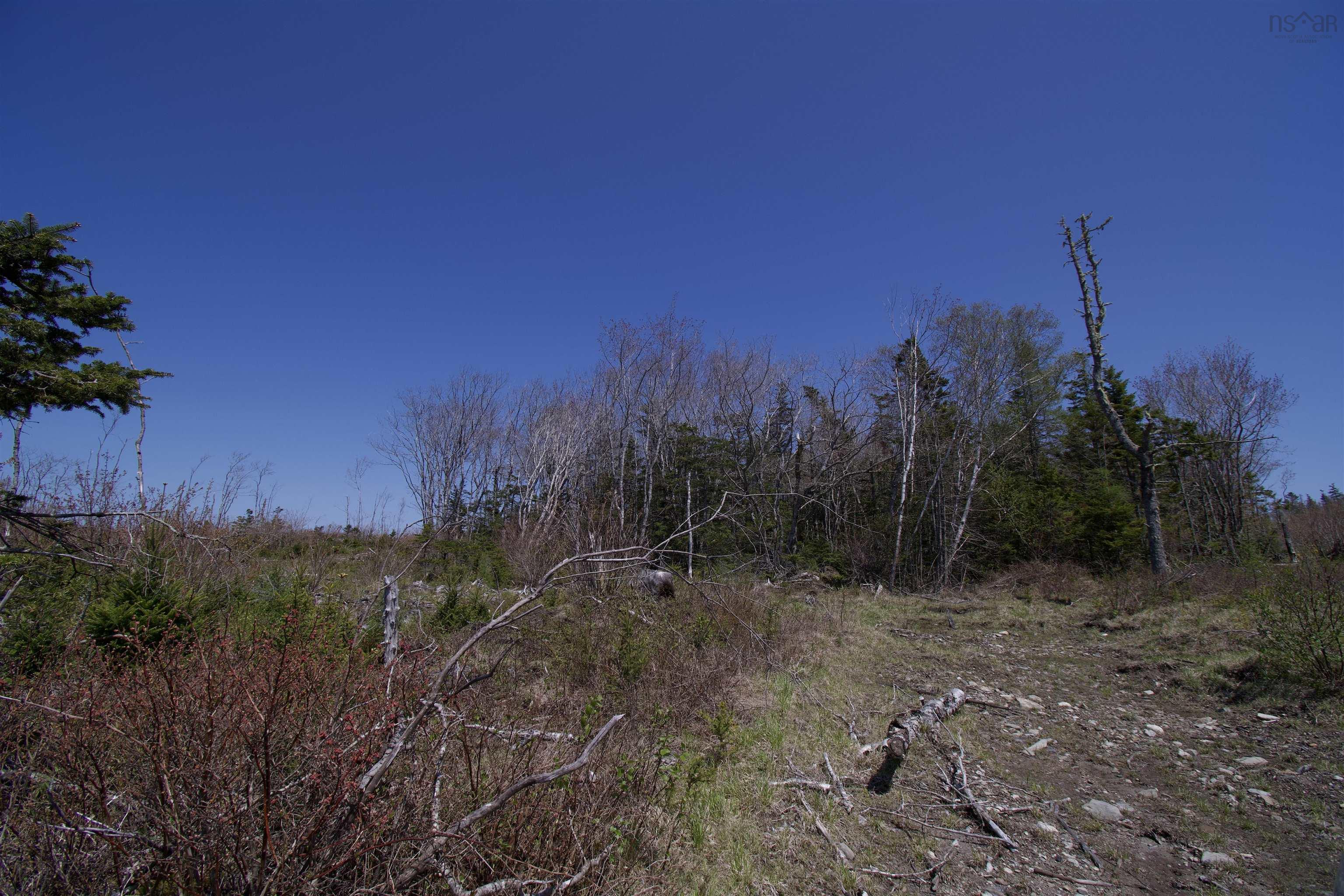 $49,900.00: LOT Dargie Cove Road, Beaver River