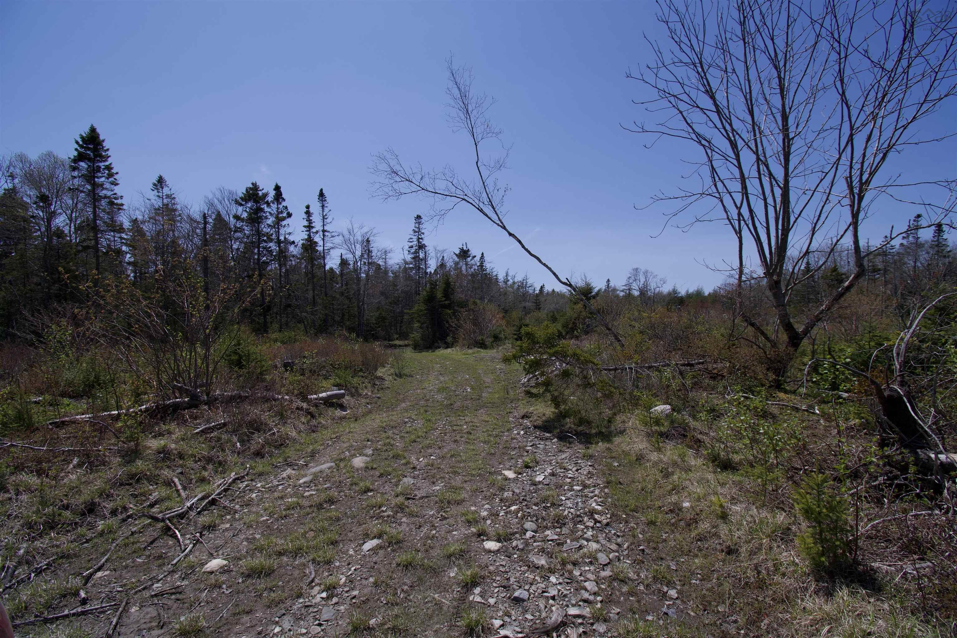 $49,900.00: LOT Dargie Cove Road, Beaver River