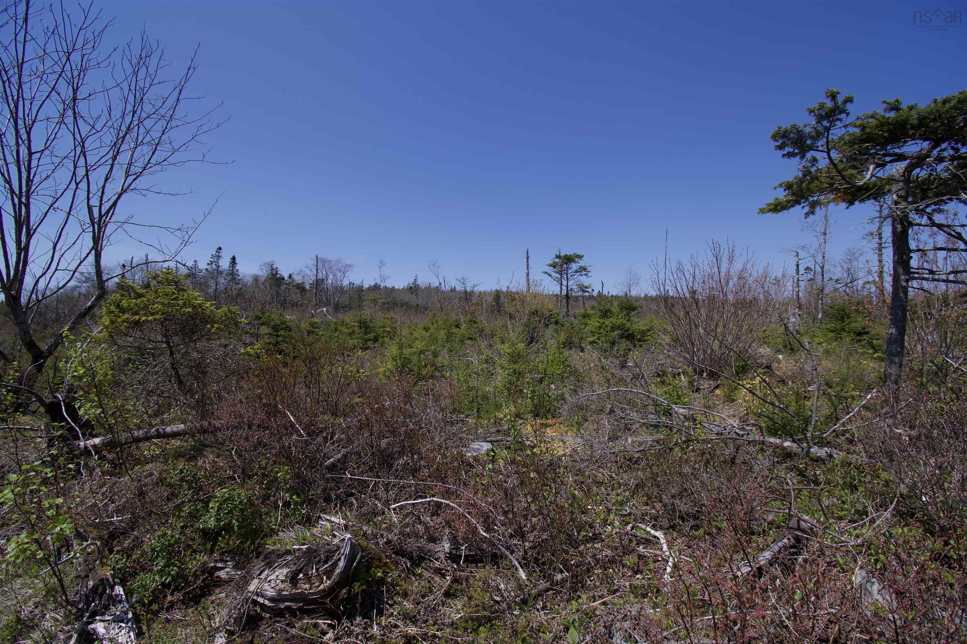$49,900.00: LOT Dargie Cove Road, Beaver River